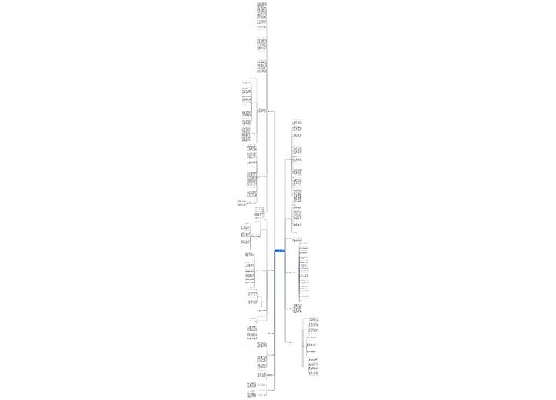 士兵驻训工作总结(精选12篇)