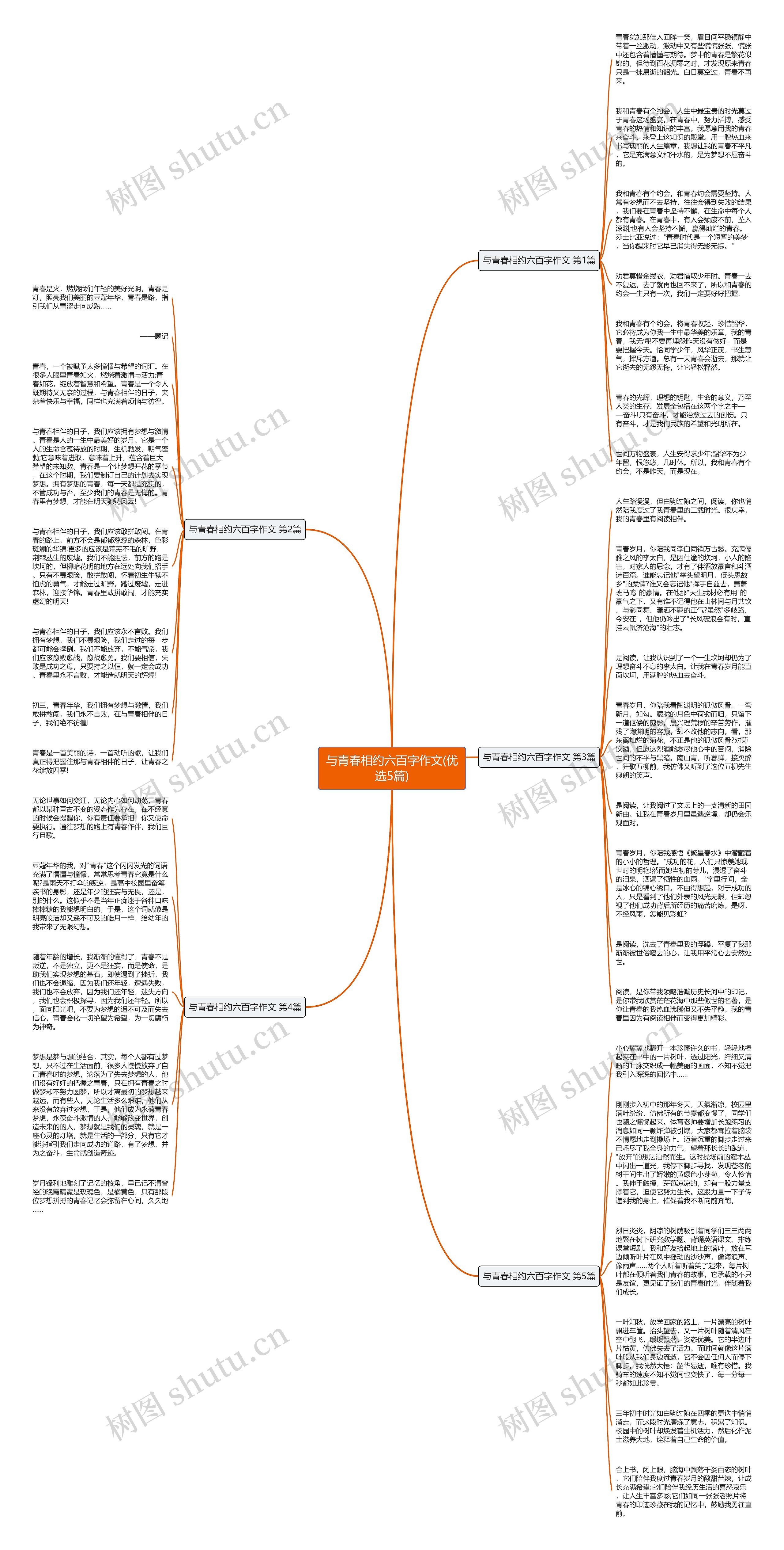 与青春相约六百字作文(优选5篇)思维导图