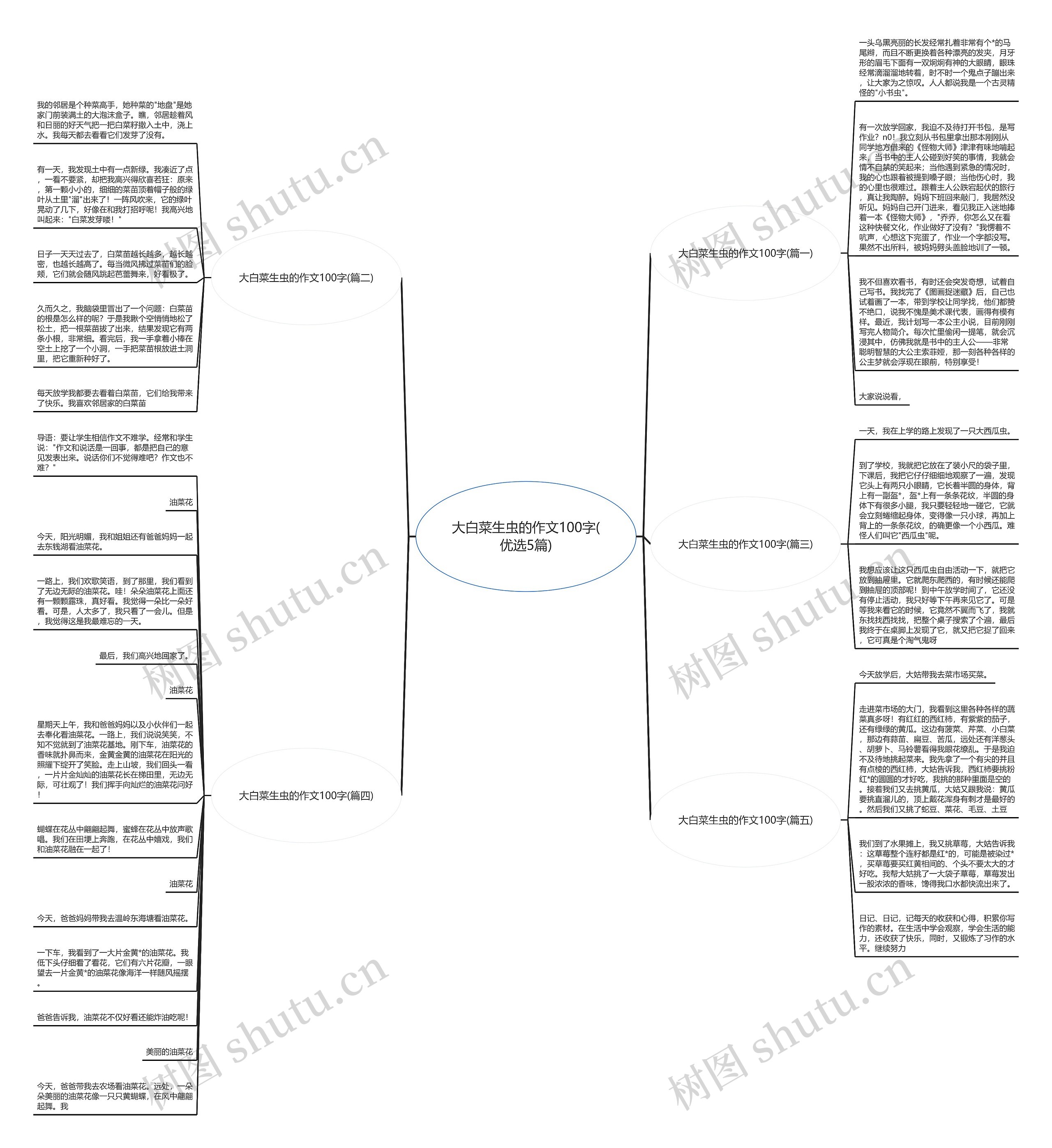 大白菜生虫的作文100字(优选5篇)思维导图