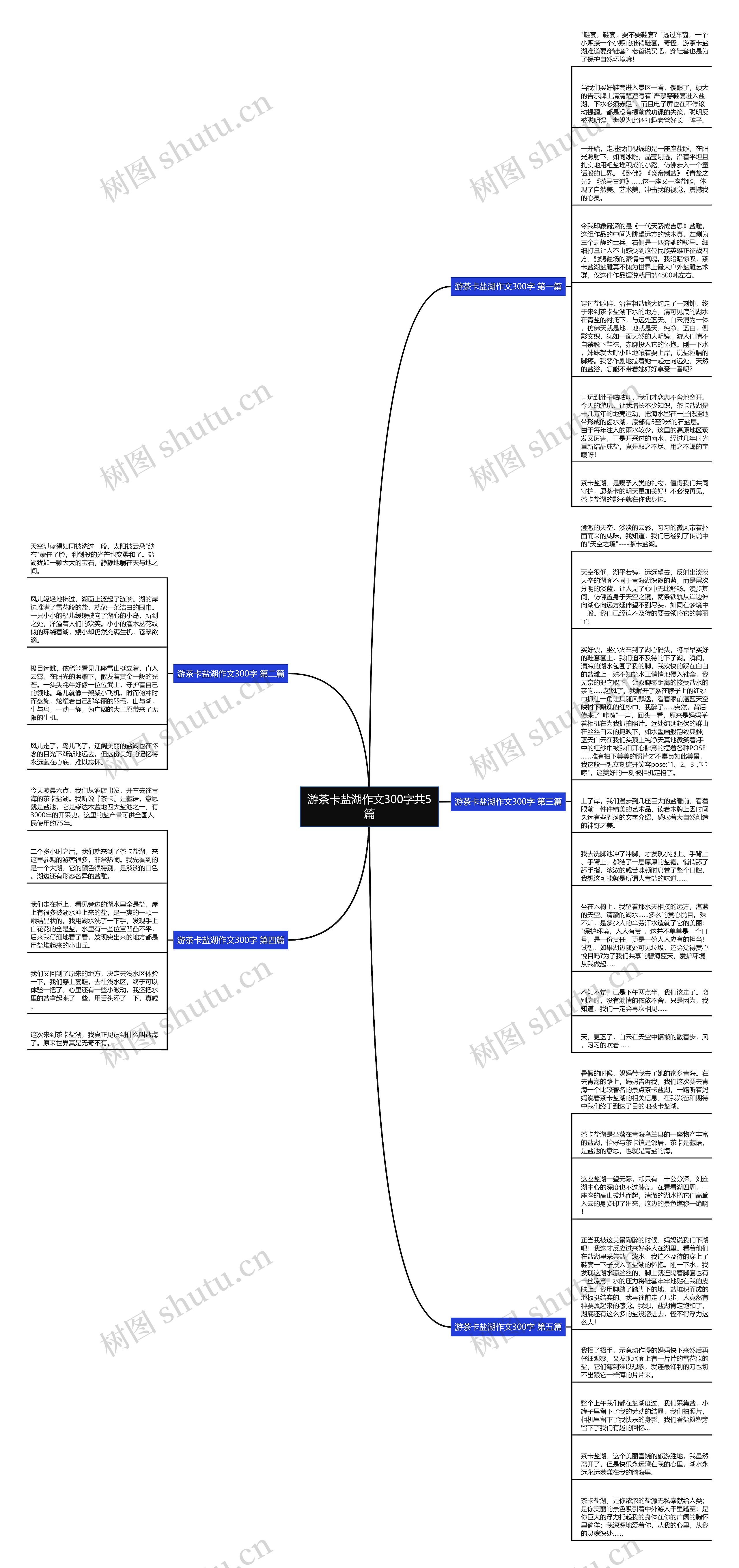 游茶卡盐湖作文300字共5篇思维导图