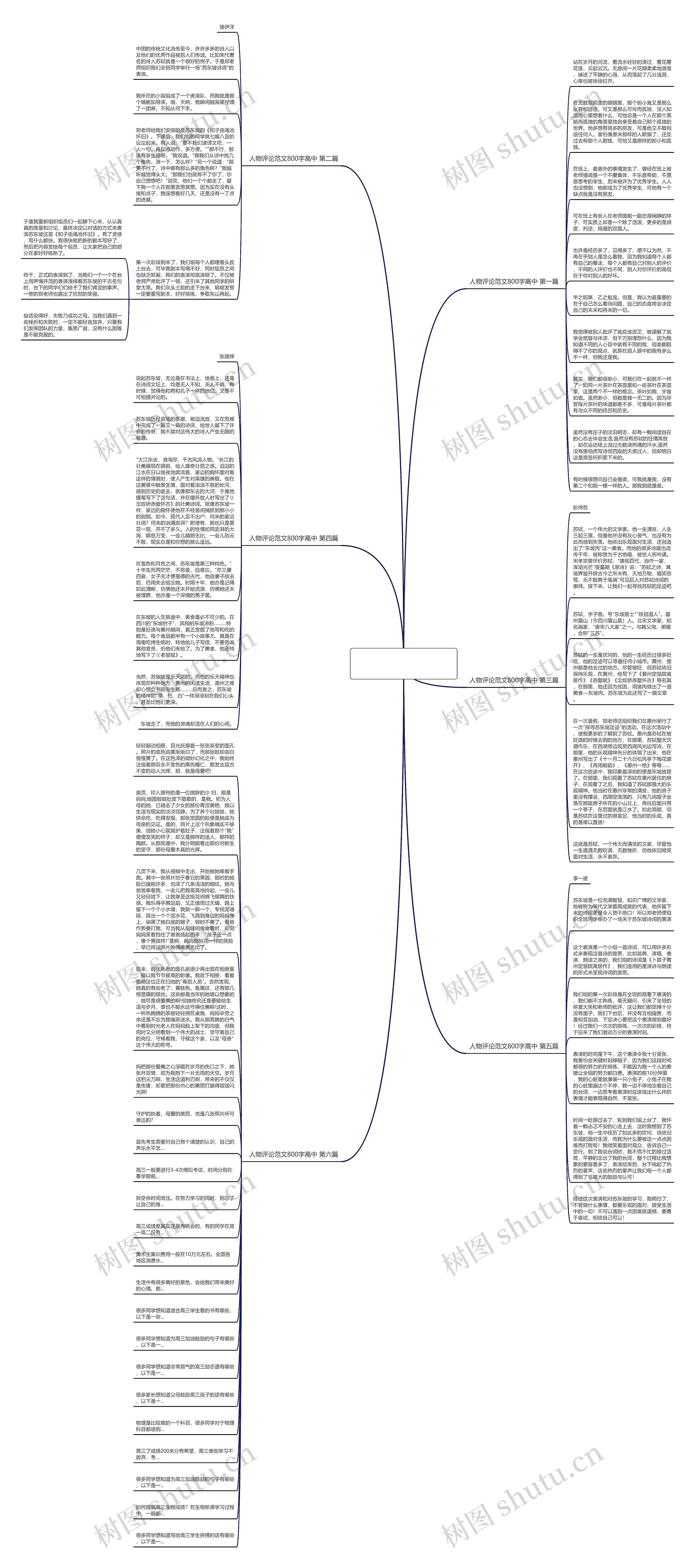 人物评论范文800字高中精选6篇思维导图