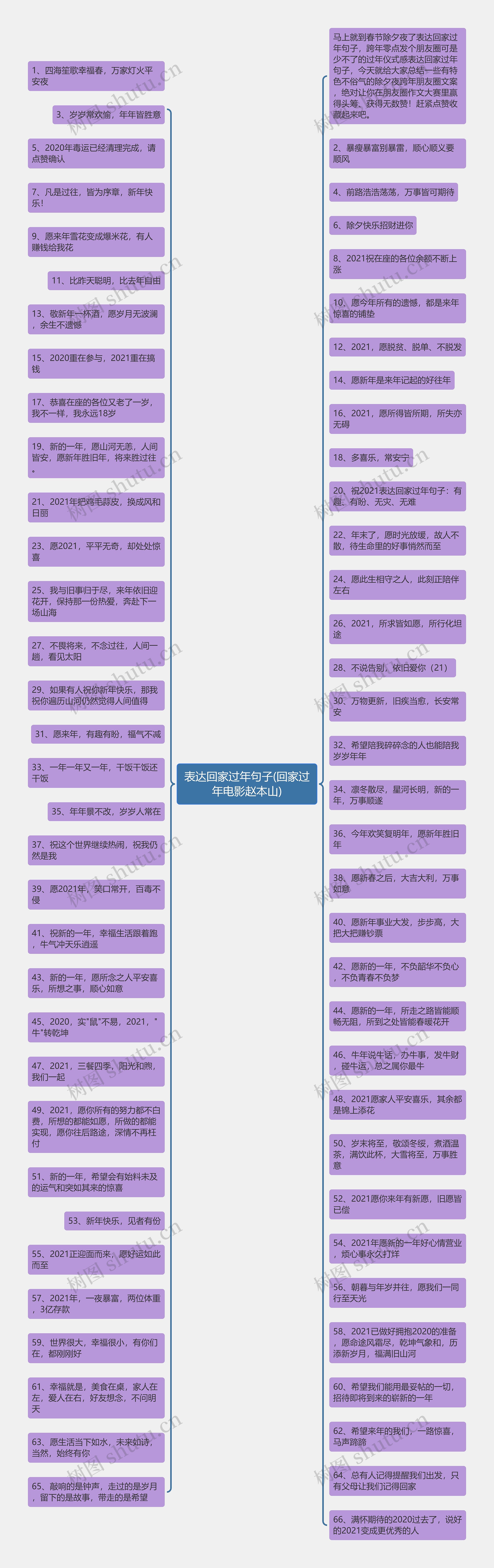 表达回家过年句子(回家过年电影赵本山)思维导图