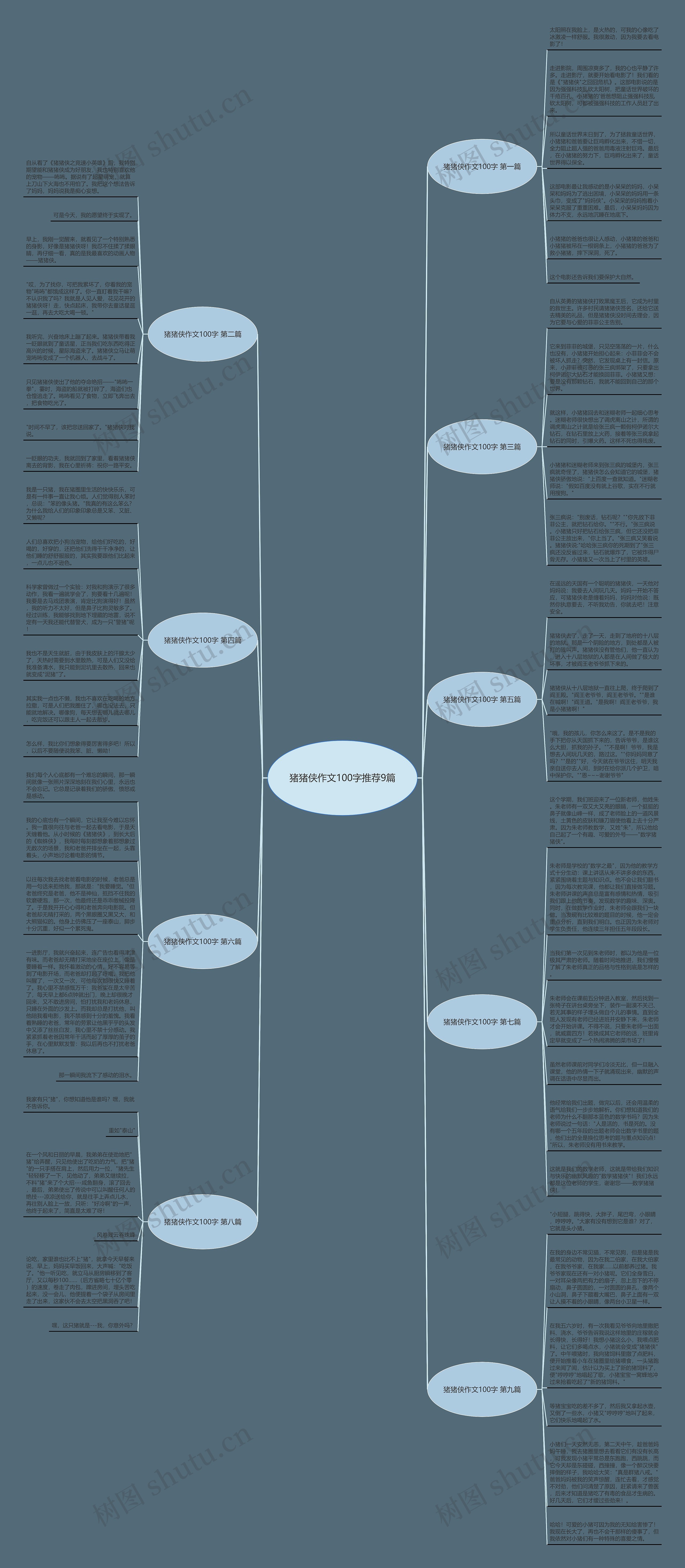 猪猪侠作文100字推荐9篇思维导图