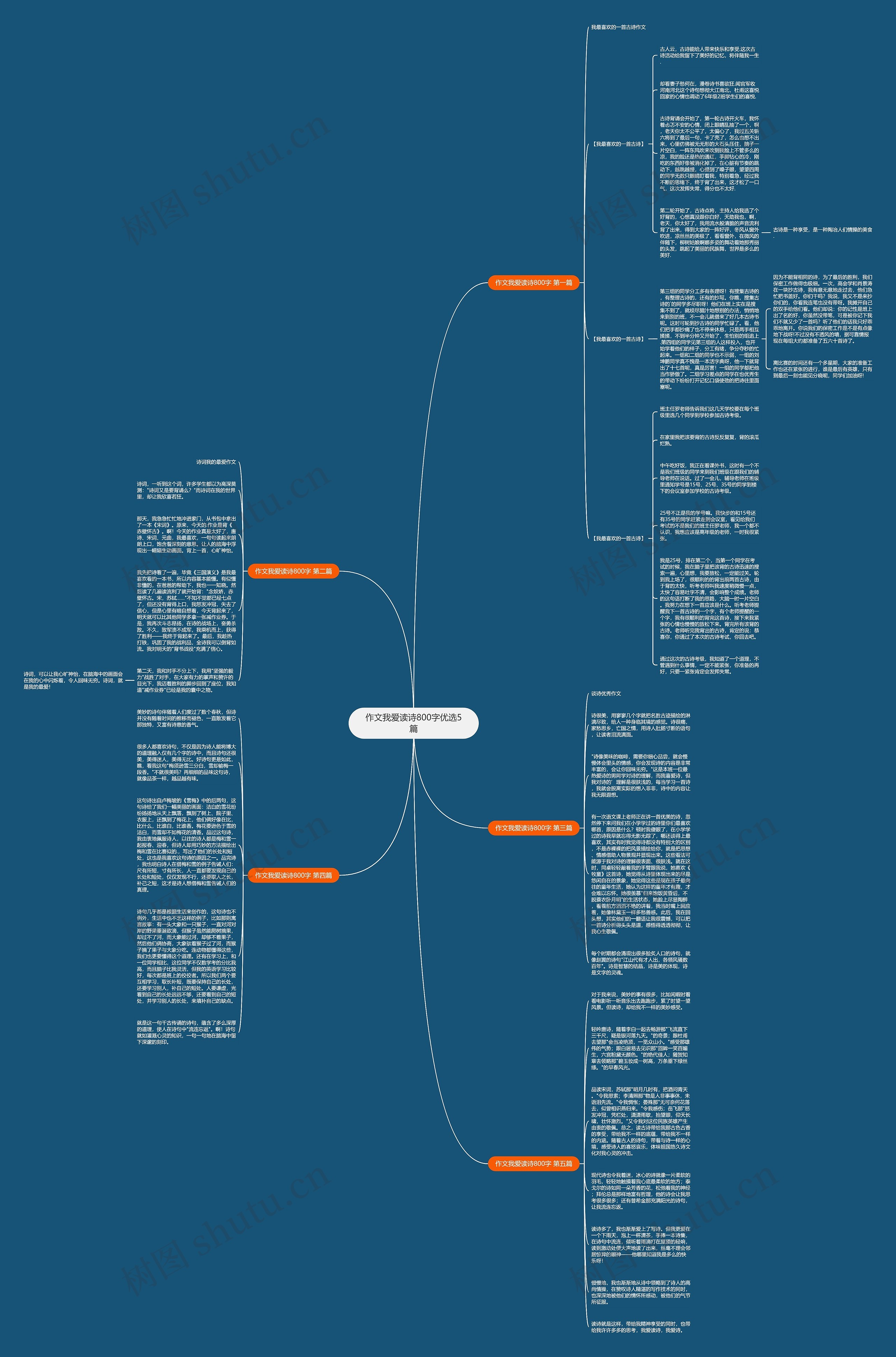 作文我爱读诗800字优选5篇思维导图