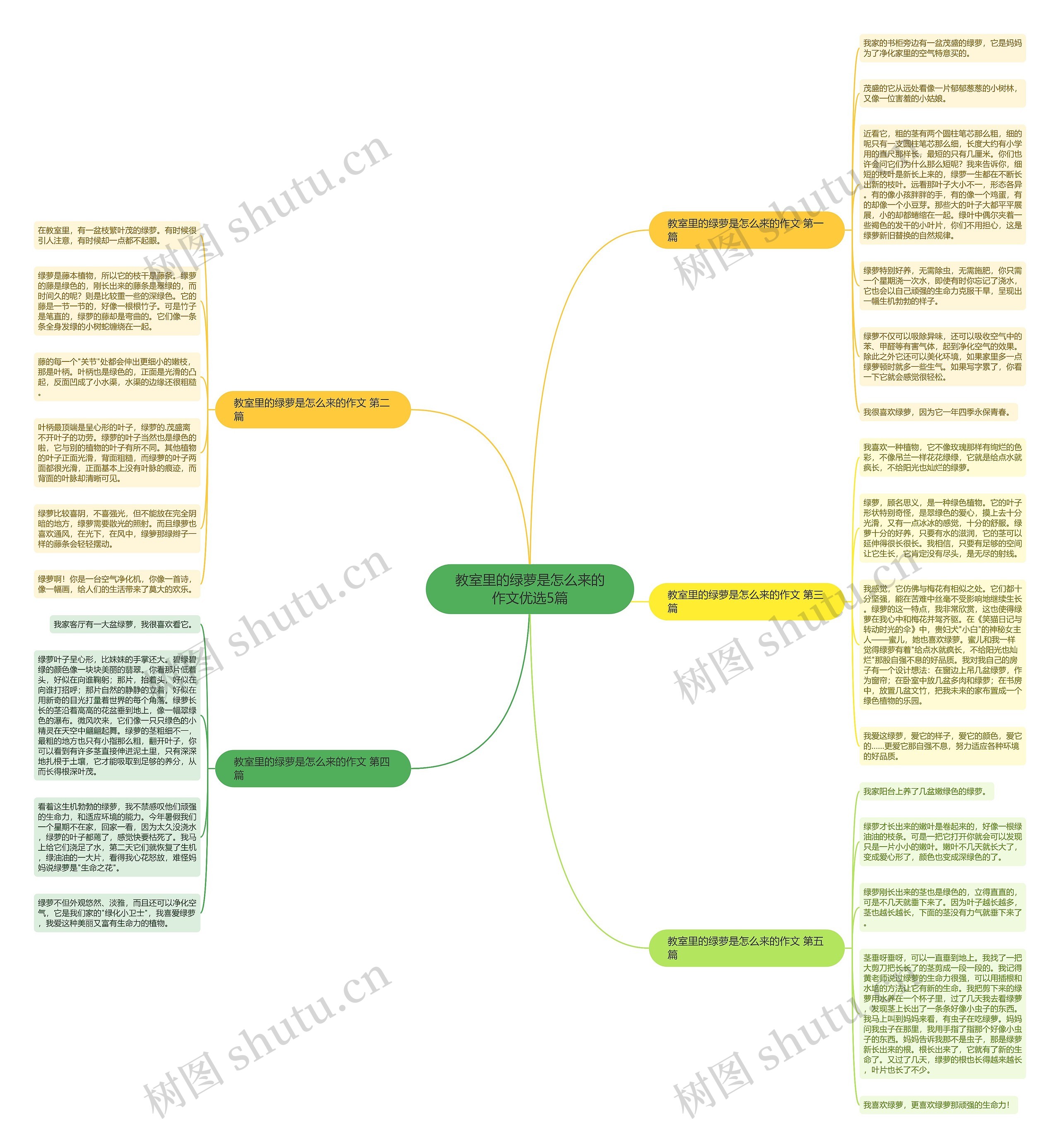 教室里的绿萝是怎么来的作文优选5篇思维导图