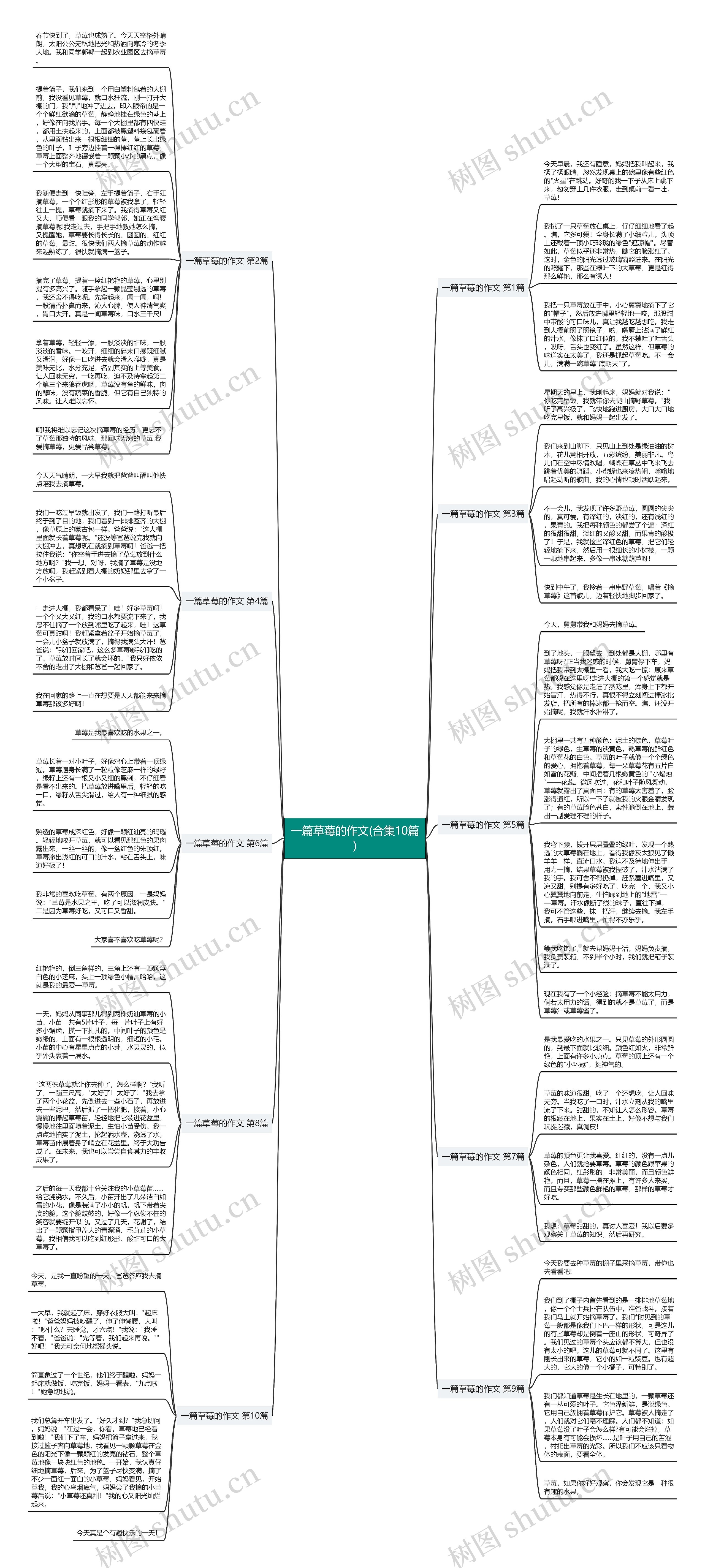 一篇草莓的作文(合集10篇)思维导图