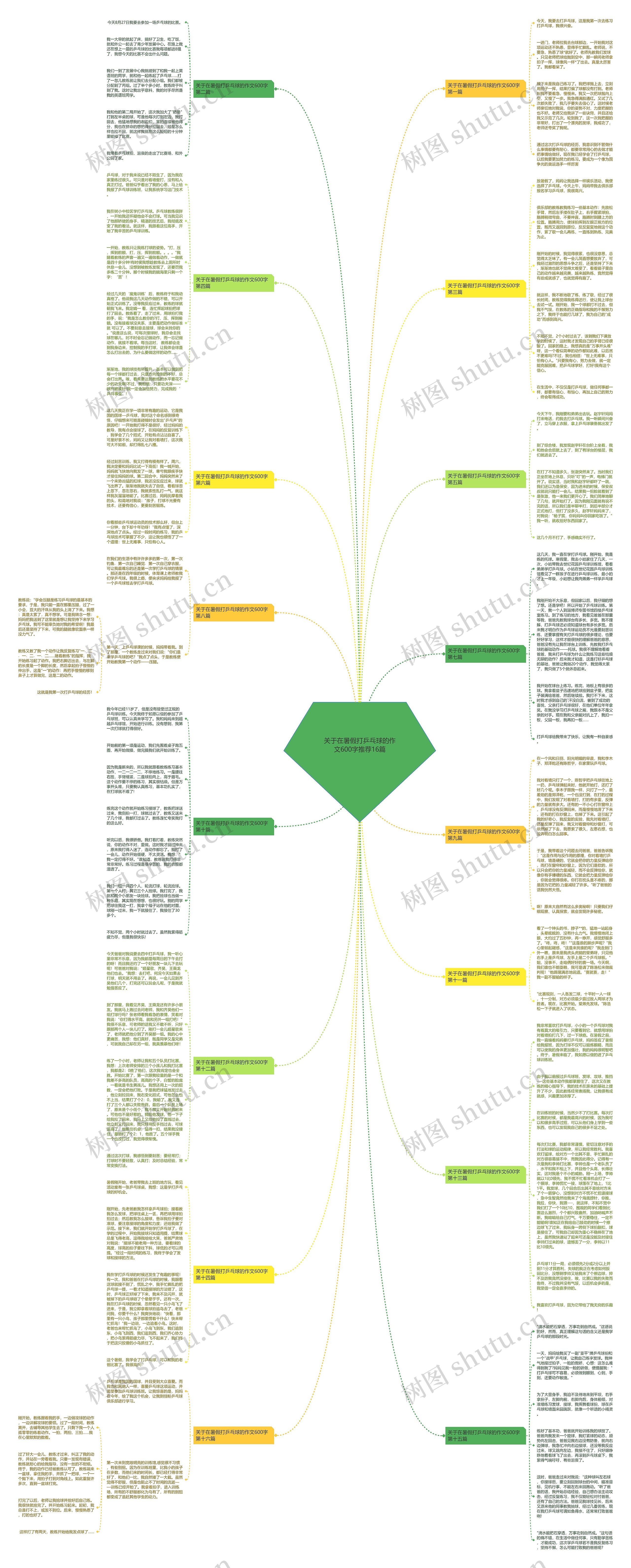 关于在暑假打乒乓球的作文600字推荐16篇思维导图
