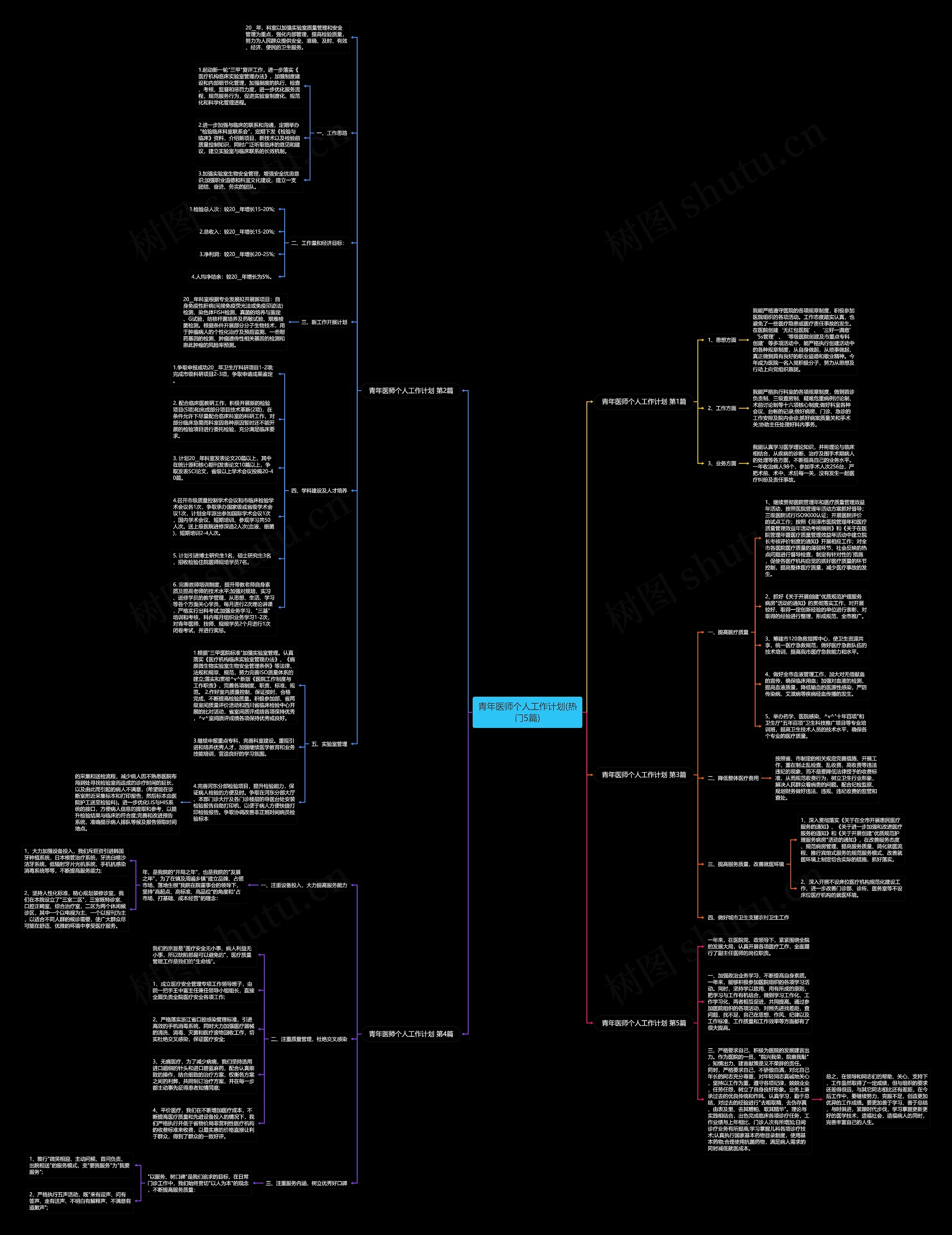 青年医师个人工作计划(热门5篇)思维导图