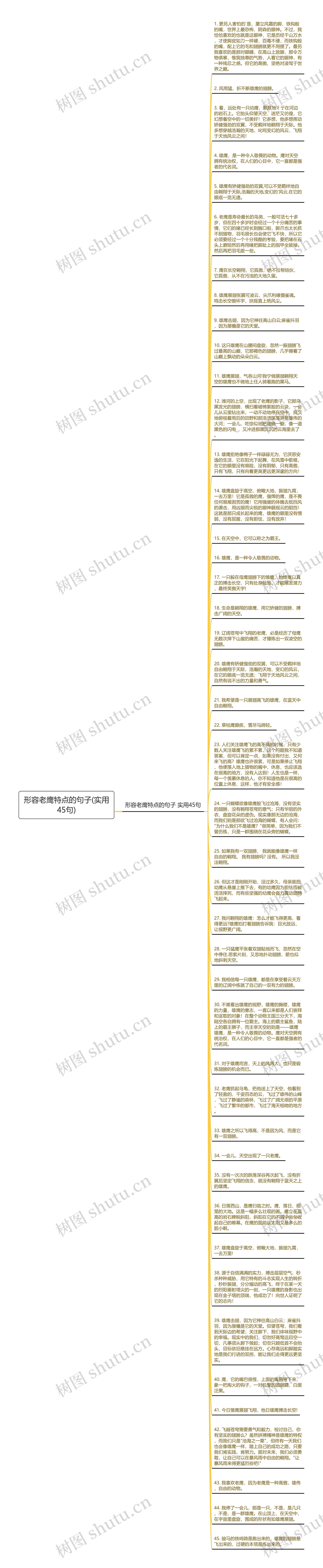 形容老鹰特点的句子(实用45句)