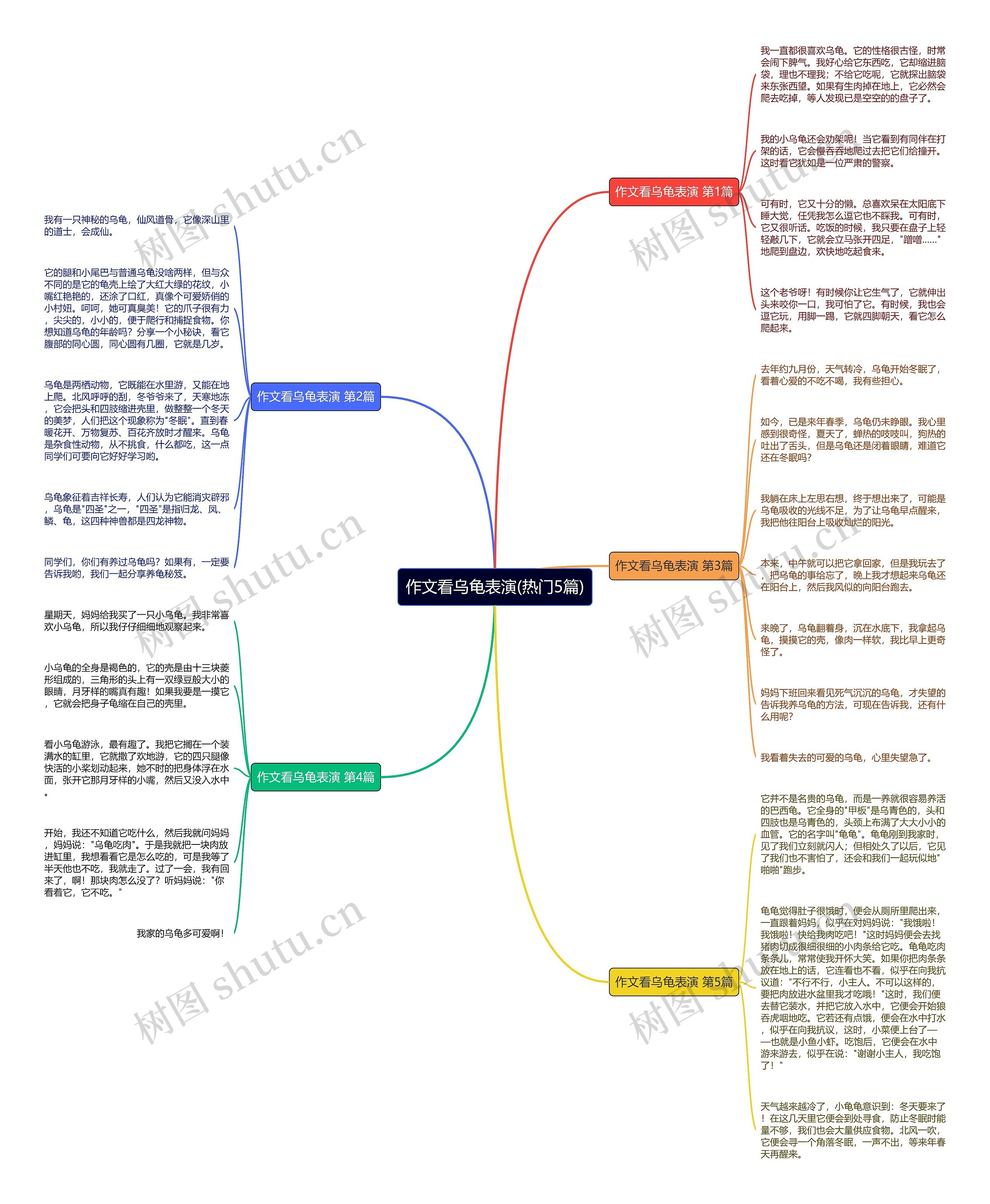 作文看乌龟表演(热门5篇) 作文看乌龟表演(热门5篇)