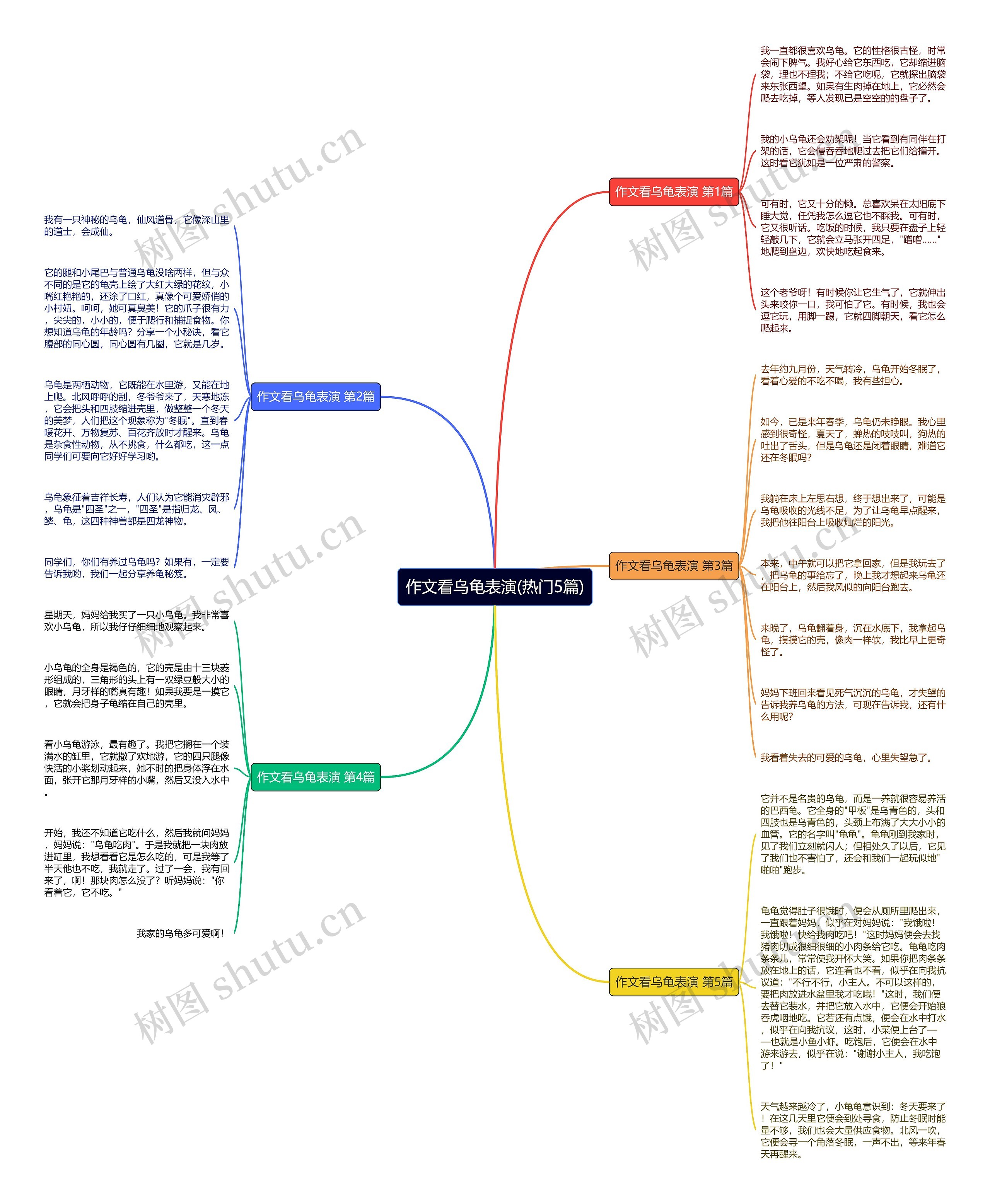 作文看乌龟表演(热门5篇)思维导图