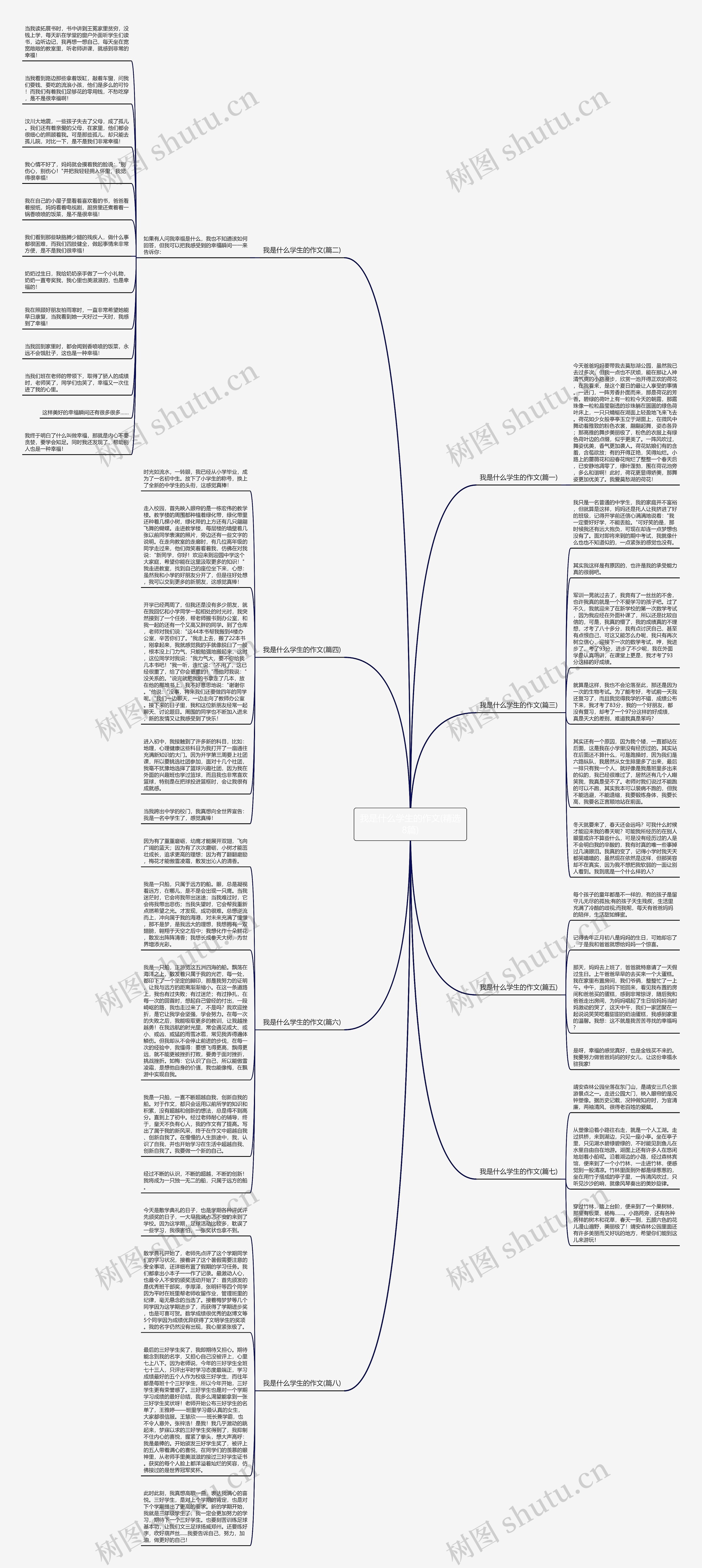 我是什么学生的作文(精选8篇)思维导图