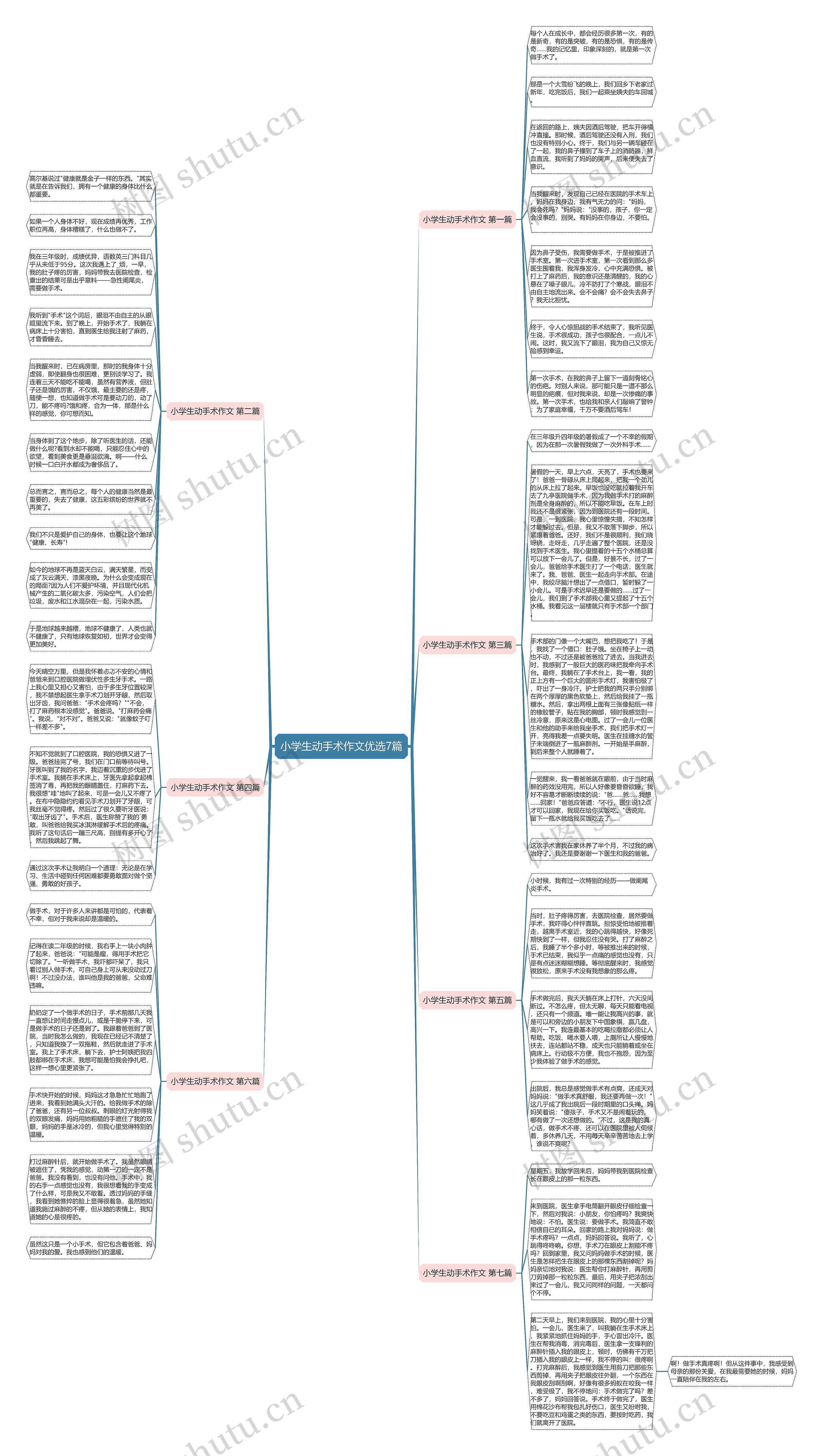 小学生动手术作文优选7篇思维导图