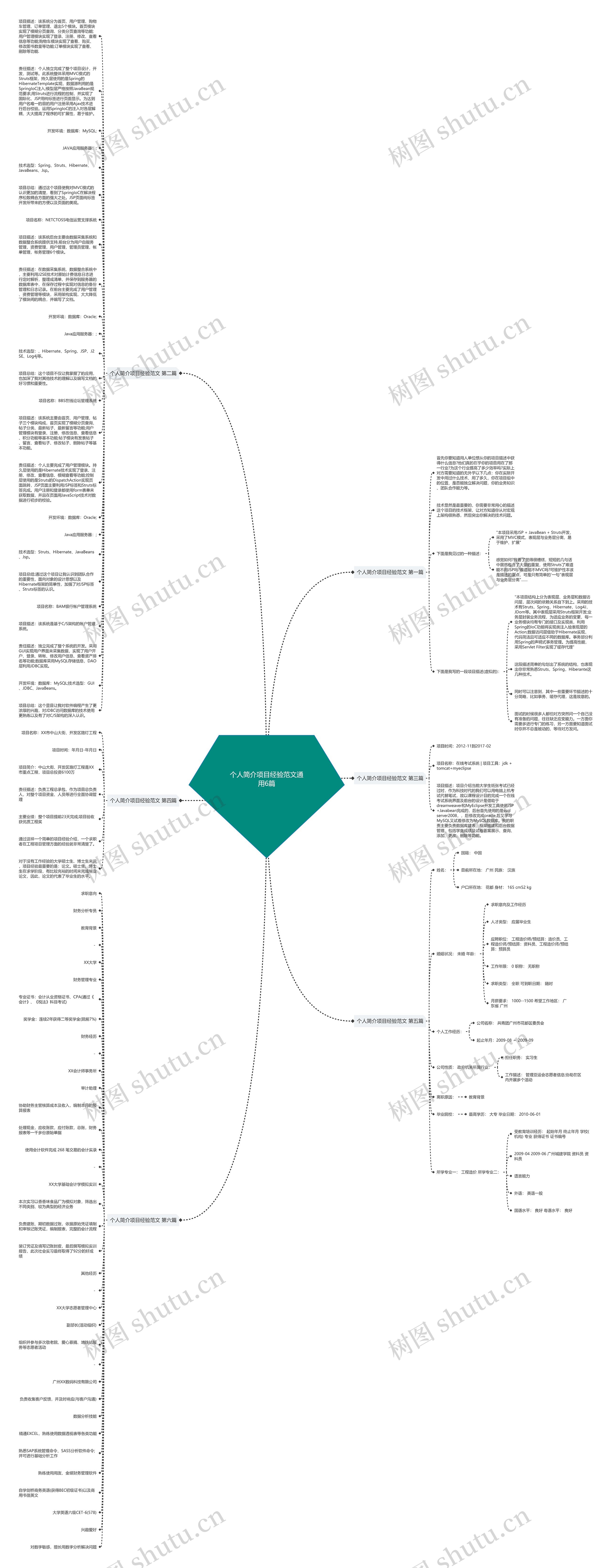 个人简介项目经验范文通用6篇思维导图
