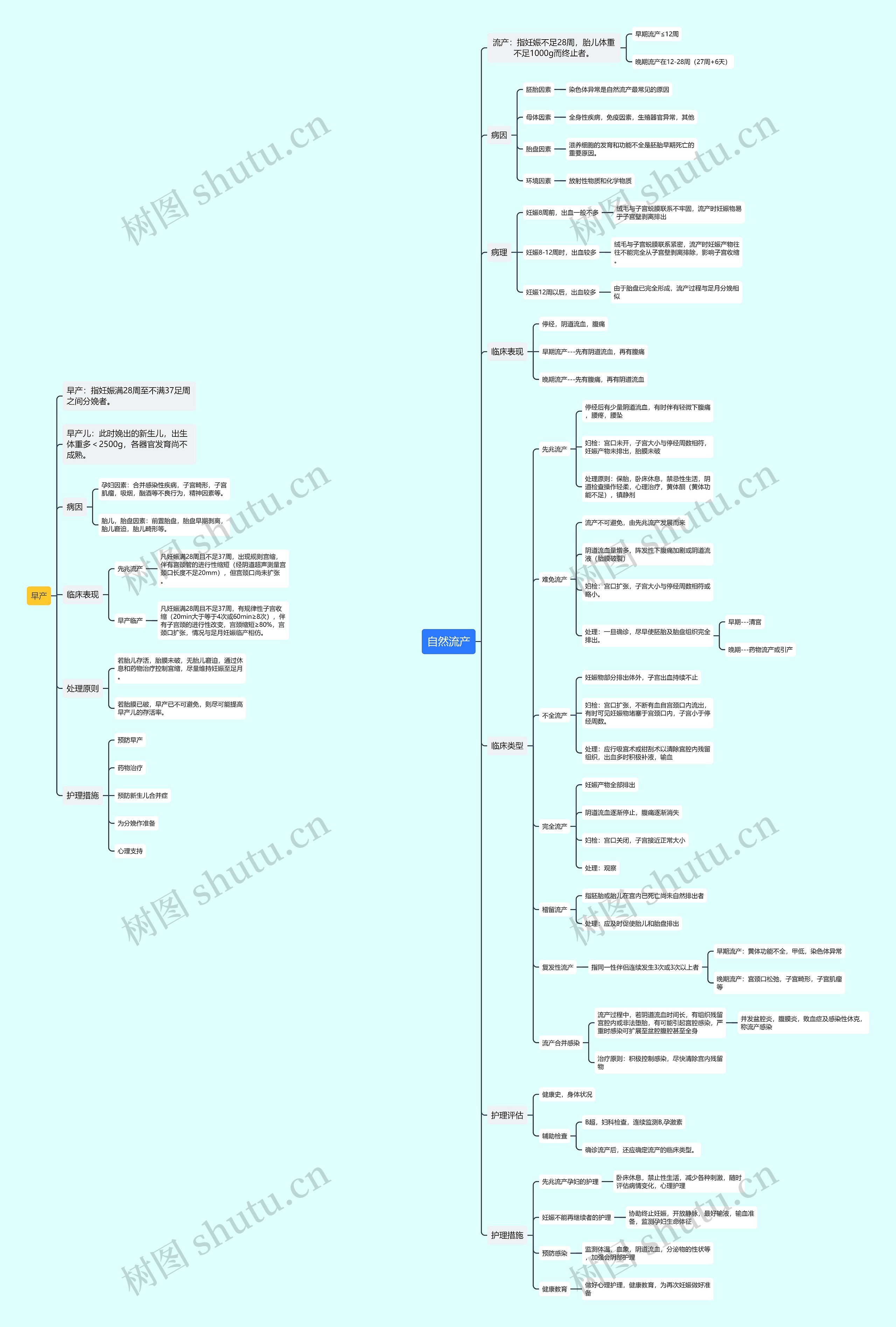 自然流产思维导图