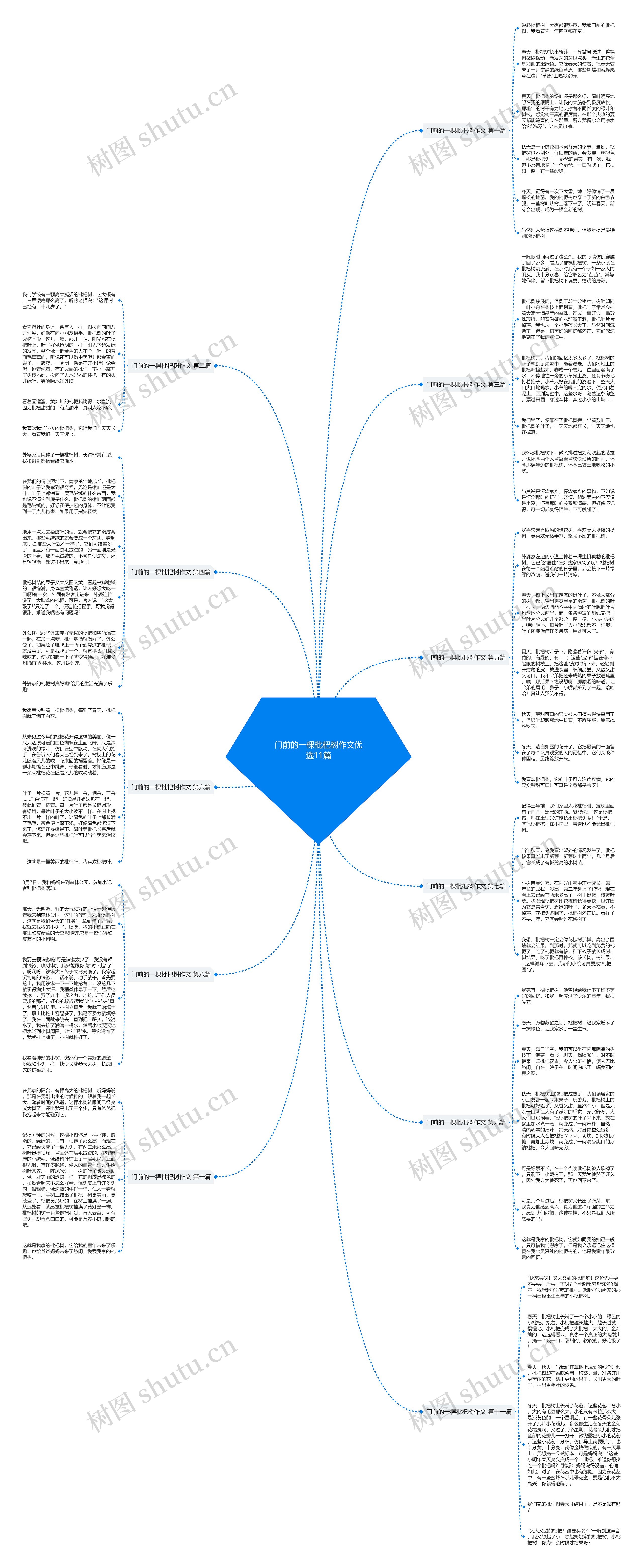 门前的一棵枇杷树作文优选11篇 门前的一棵枇杷树作文优选11篇