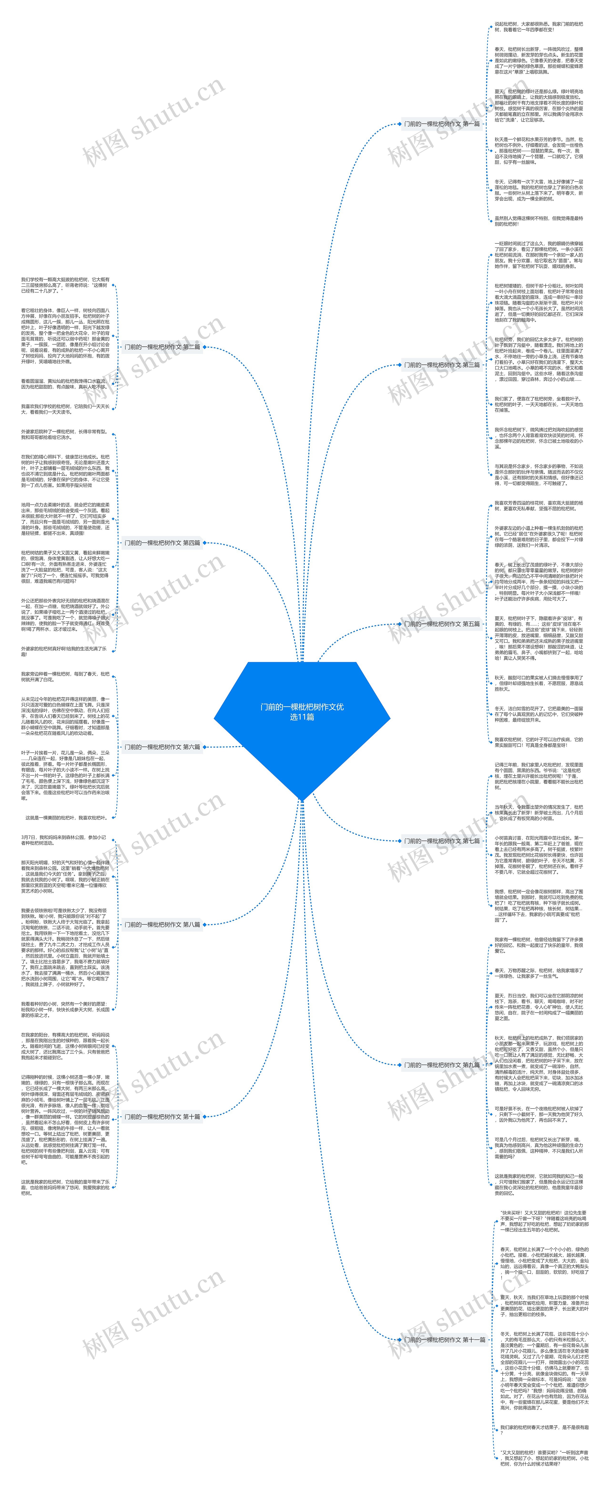 门前的一棵枇杷树作文优选11篇思维导图