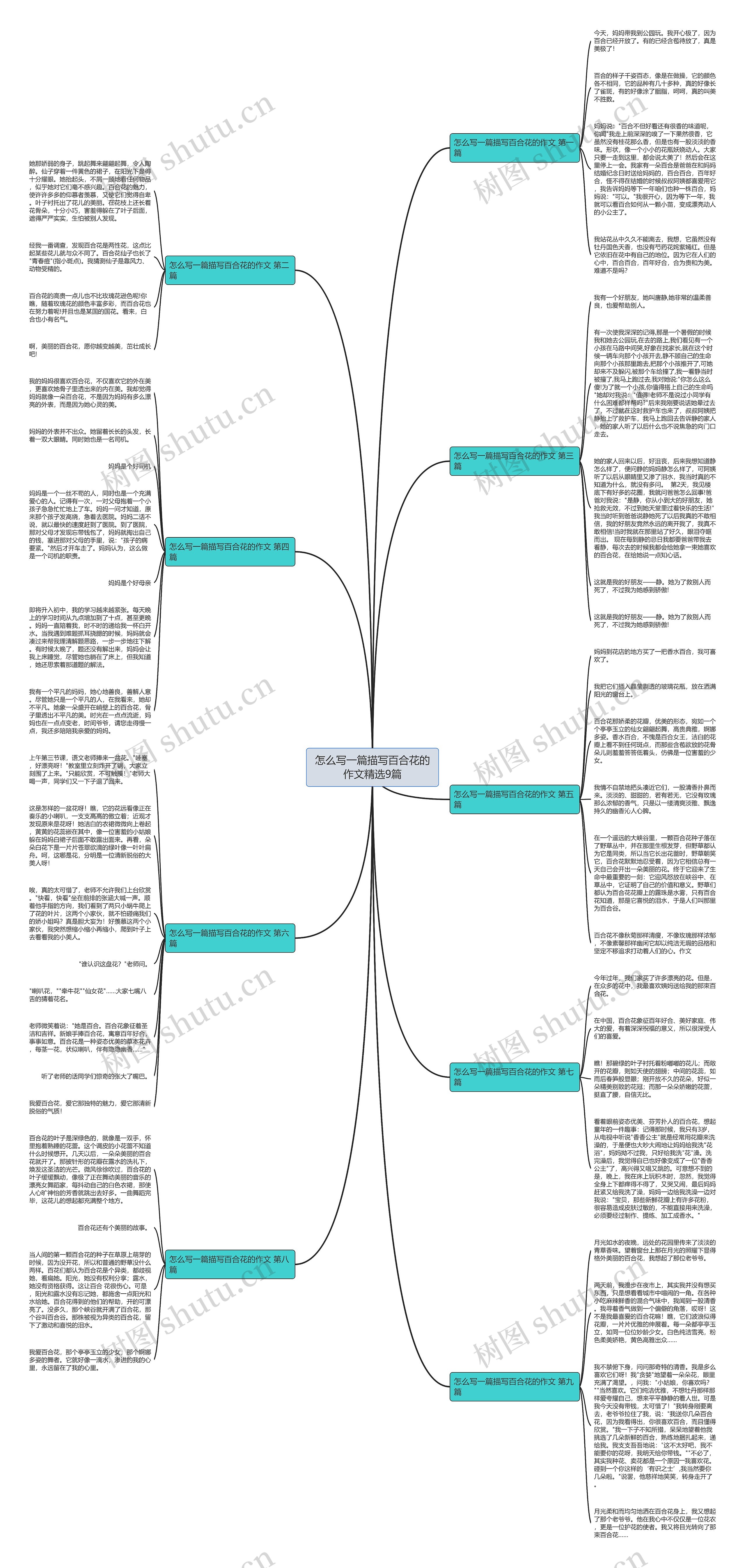 怎么写一篇描写百合花的作文精选9篇 怎么写一篇描写百合花的作文精选9篇