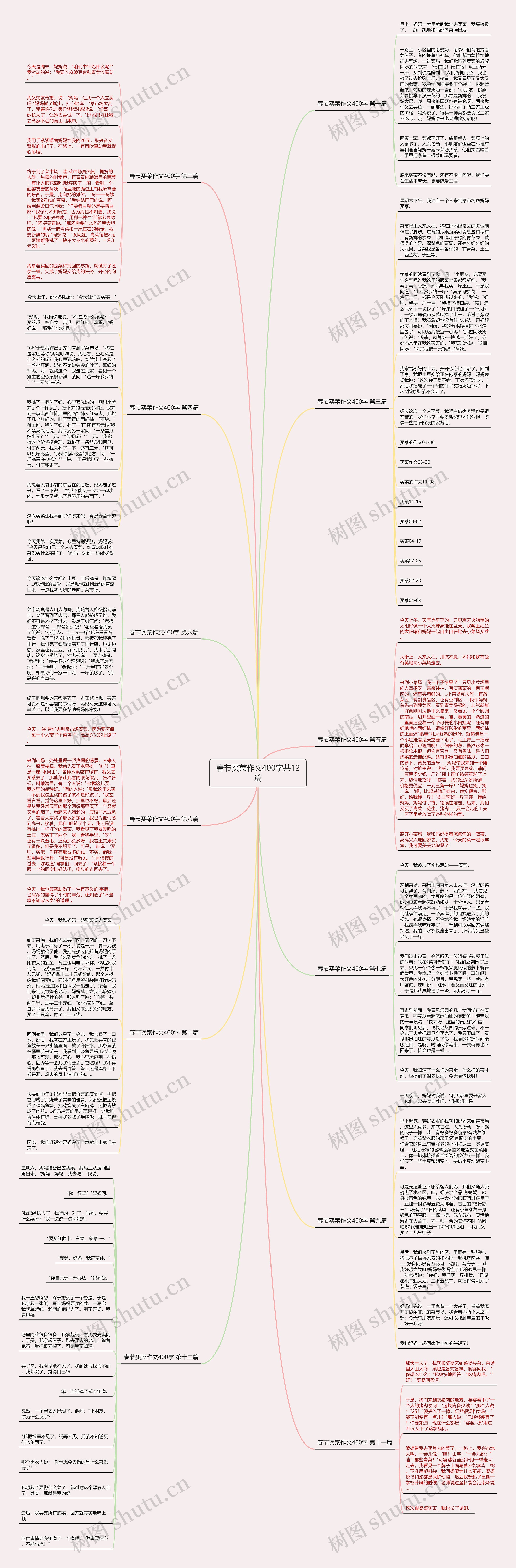 春节买菜作文400字共12篇思维导图