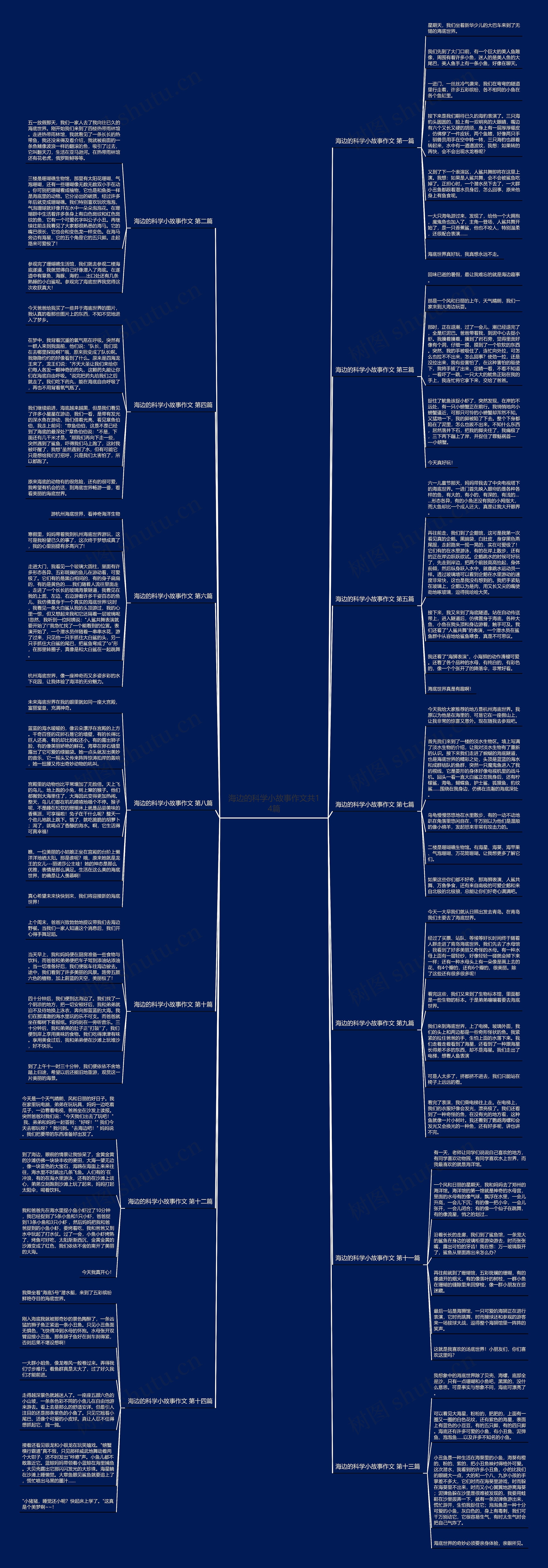 海边的科学小故事作文共14篇思维导图