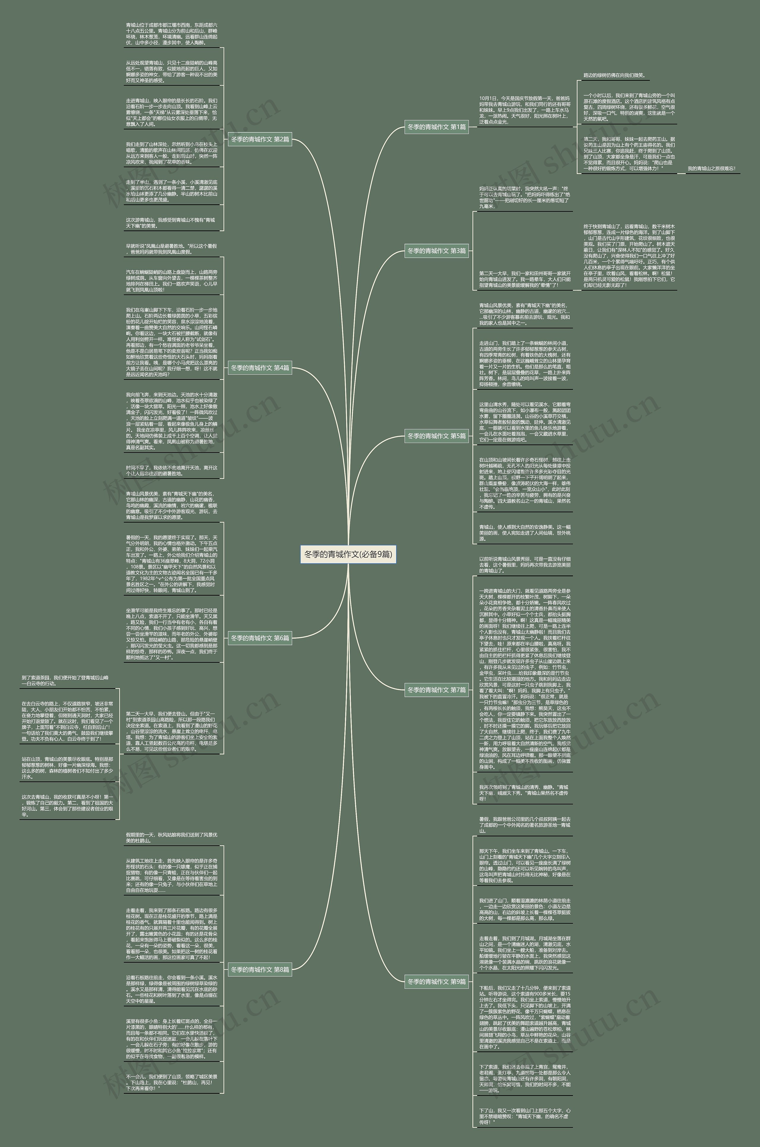 冬季的青城作文(必备9篇)