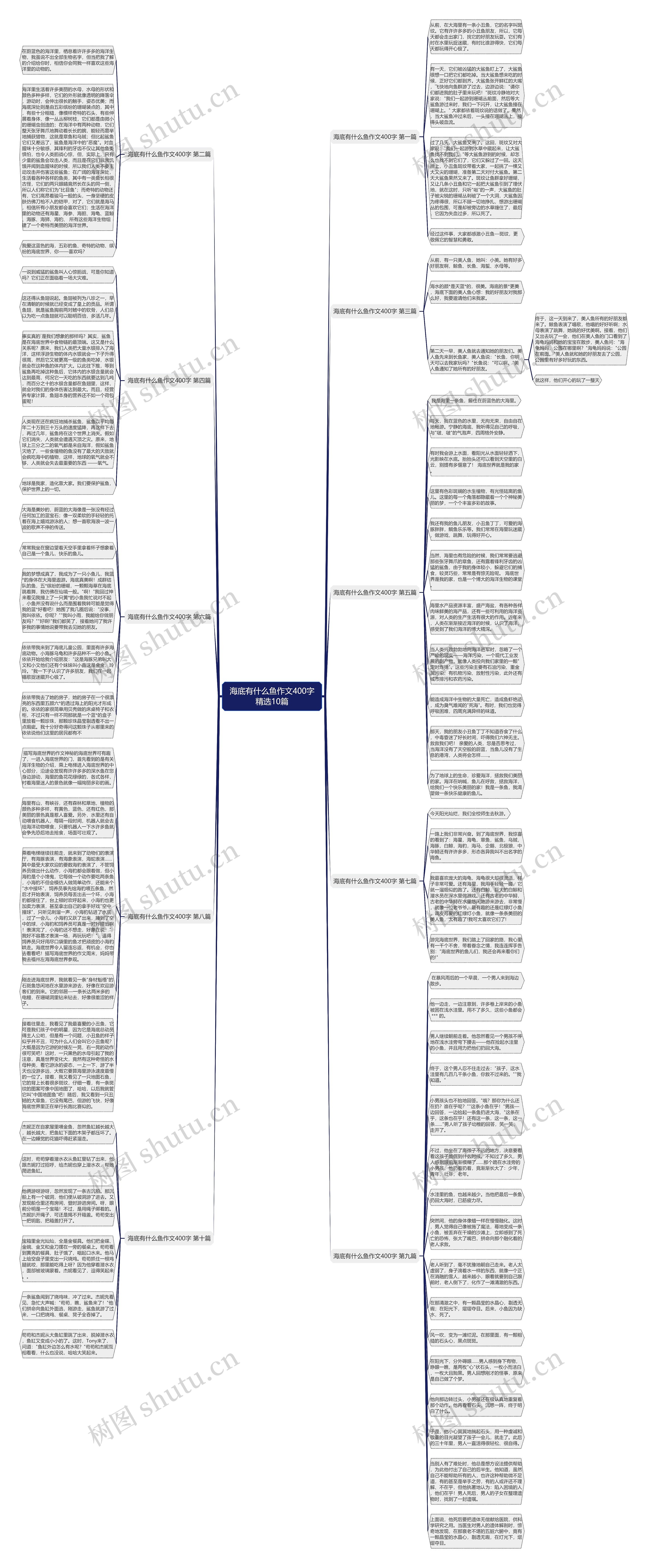海底有什么鱼作文400字精选10篇思维导图