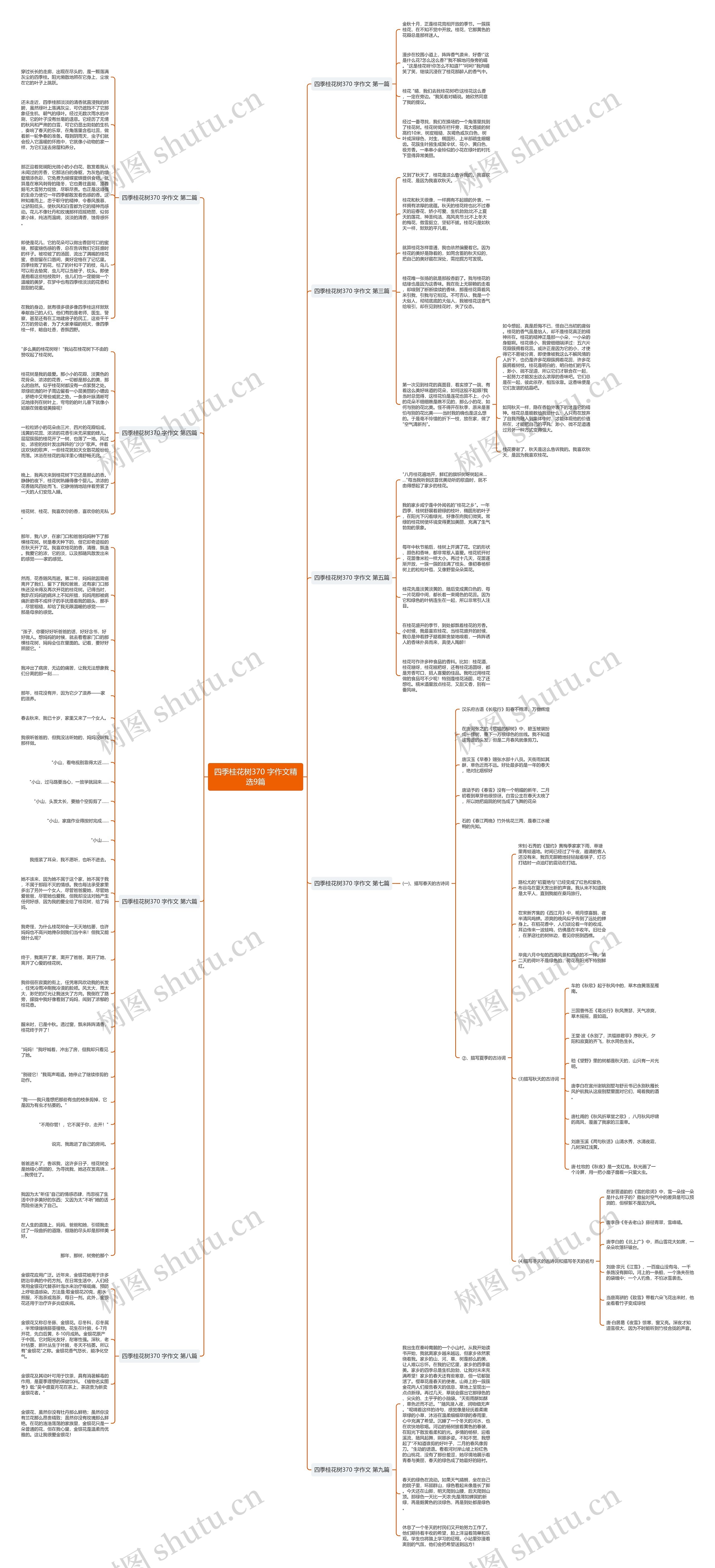 四季桂花树370 字作文精选9篇思维导图