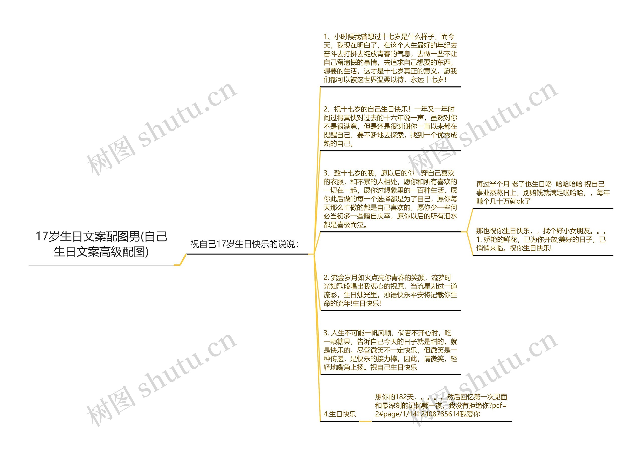 17岁生日文案配图男(自己生日文案高级配图)思维导图