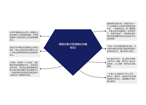 情感文案介绍(情感式攻略综艺)