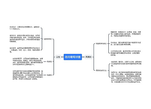 路邓葡萄球菌