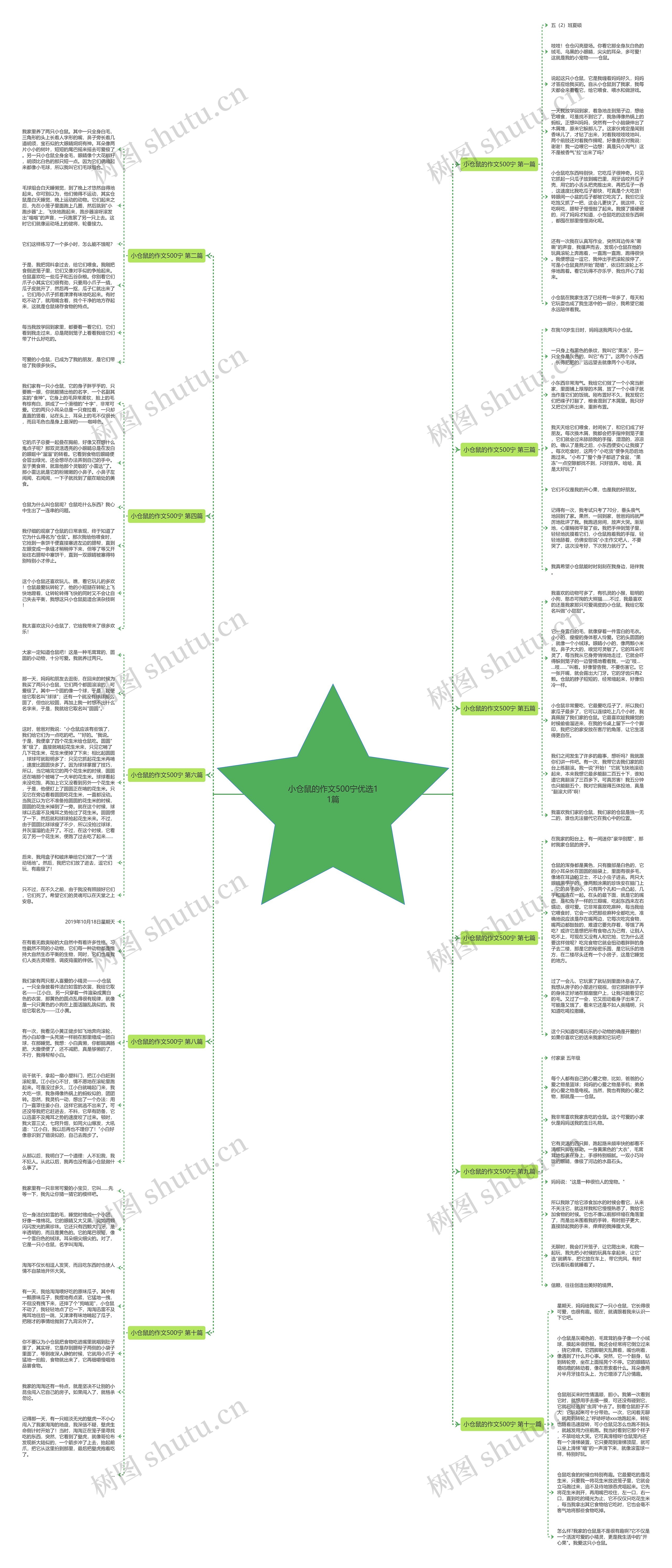 小仓鼠的作文500宁优选11篇思维导图