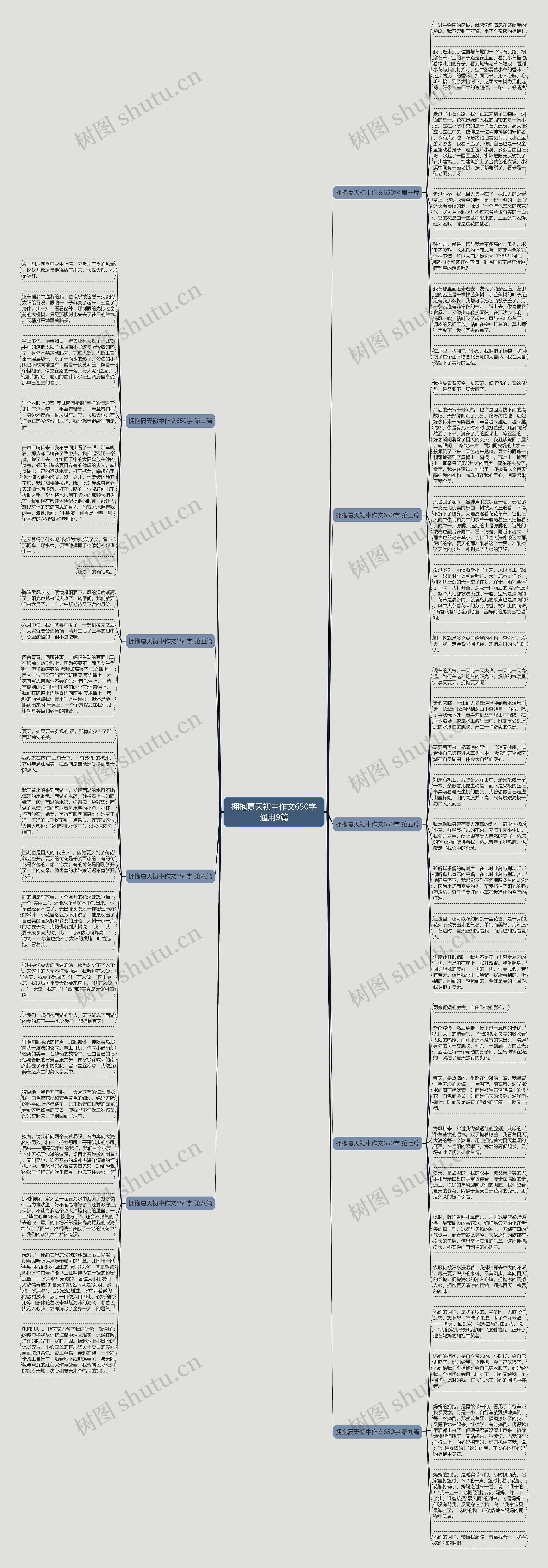 拥抱夏天初中作文650字通用9篇