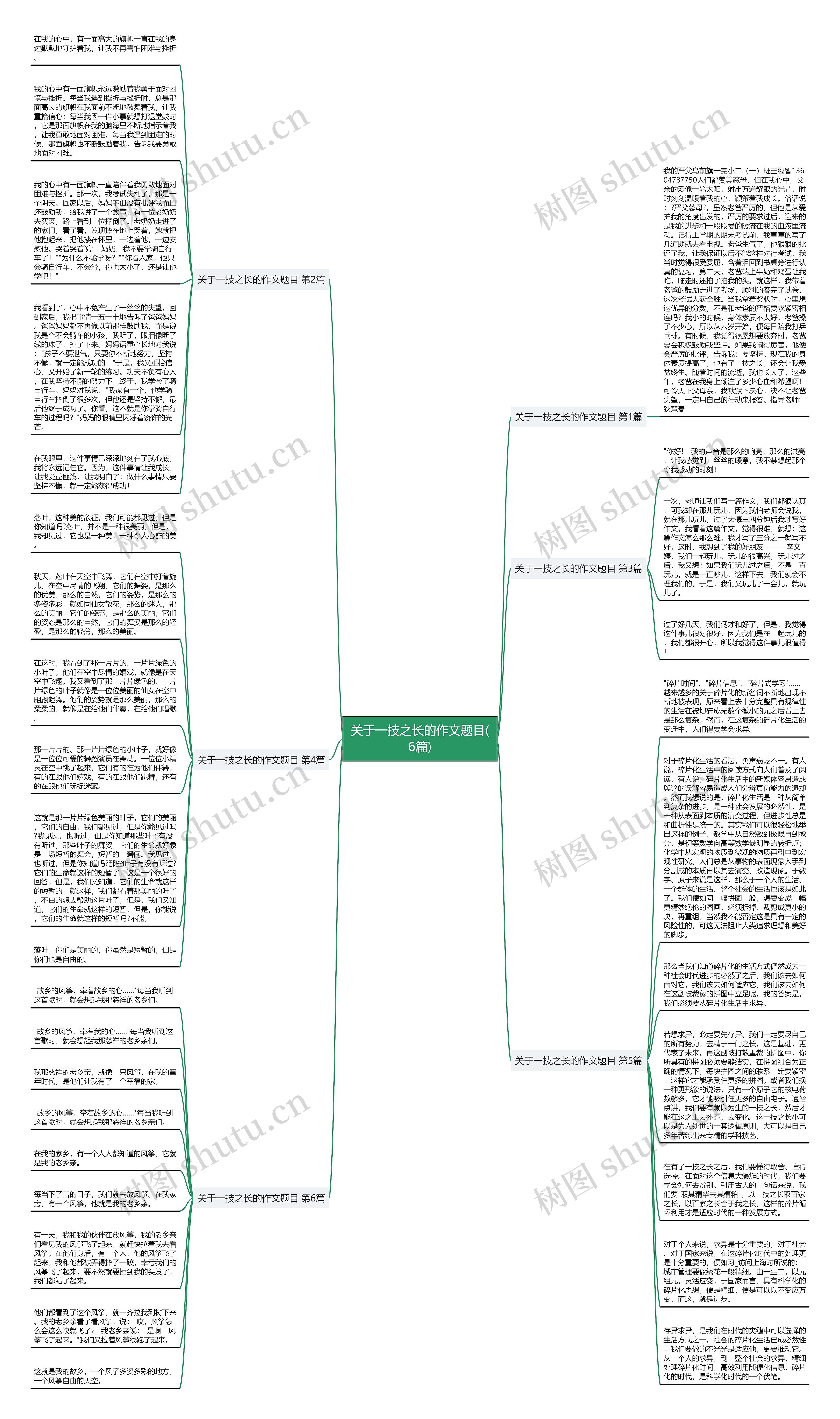 关于一技之长的作文题目(6篇)思维导图