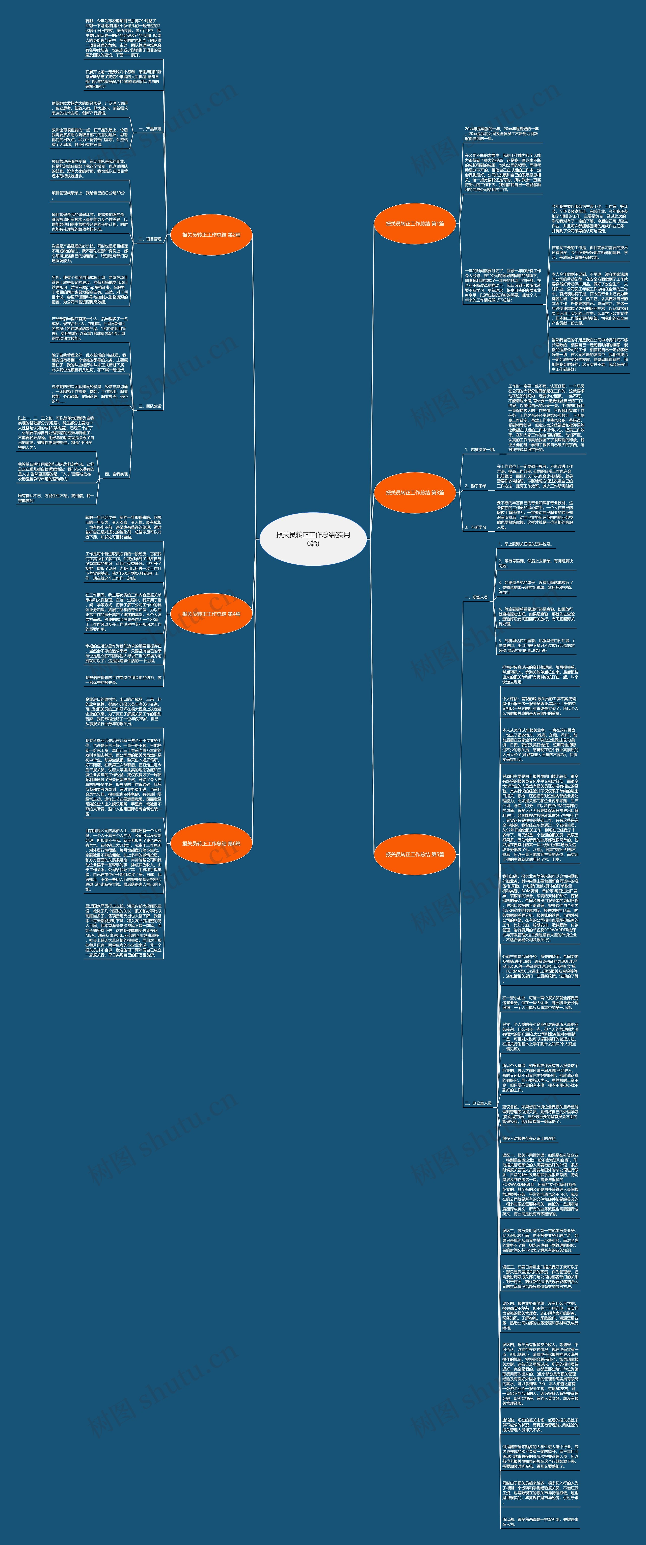 报关员转正工作总结(实用6篇)思维导图