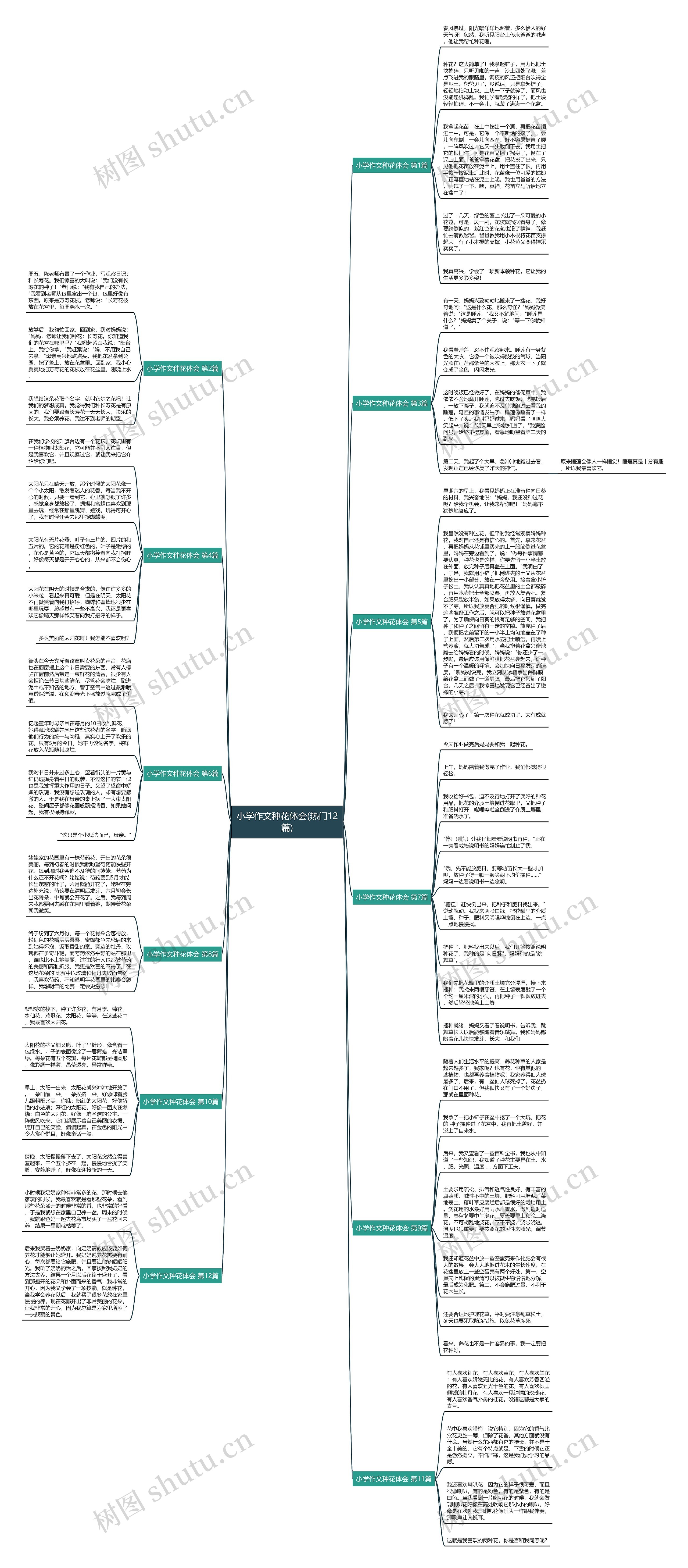 小学作文种花体会(热门12篇)思维导图