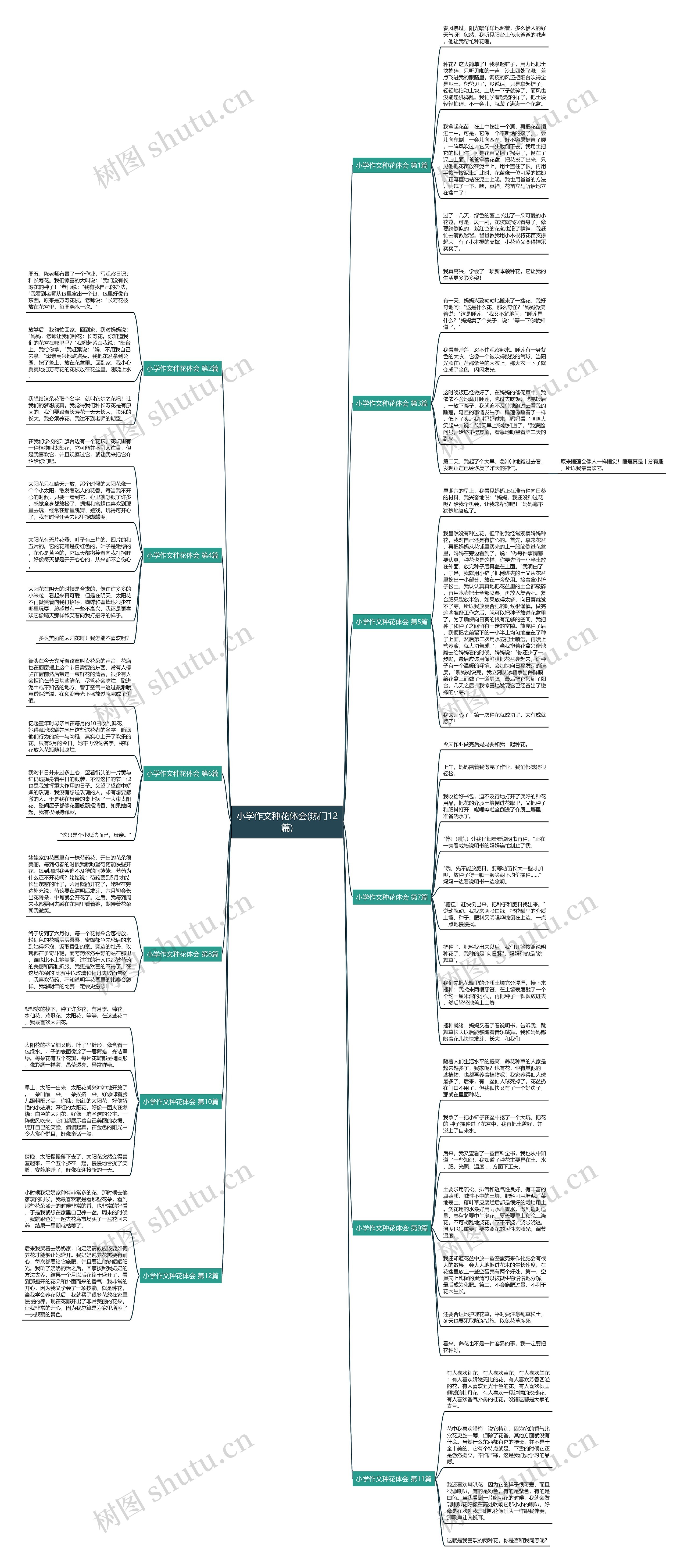 小学作文种花体会(热门12篇) 小学作文种花体会(热门12篇)