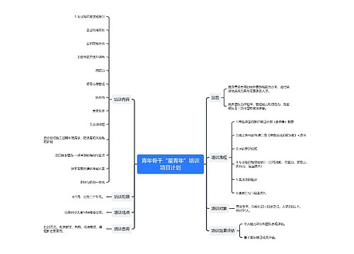 青年骨干“星青年”培训项目计划