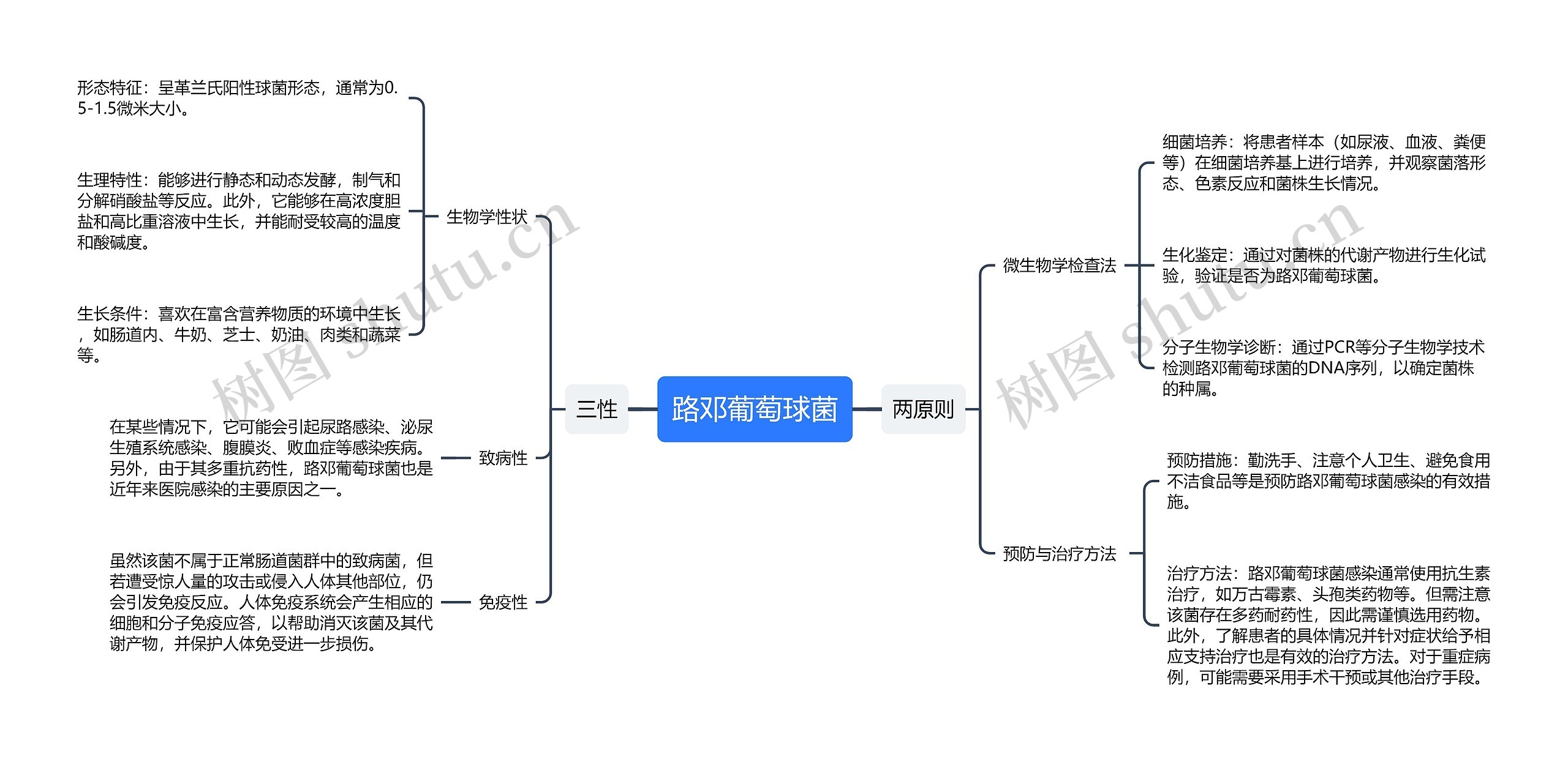 路邓葡萄球菌