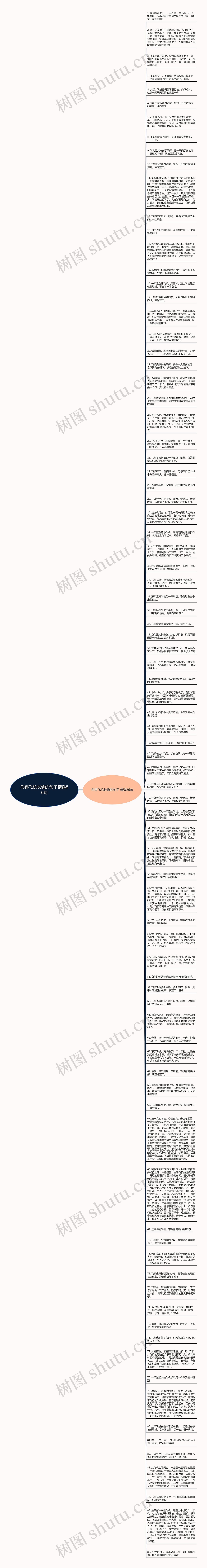 形容飞机长像的句子精选86句