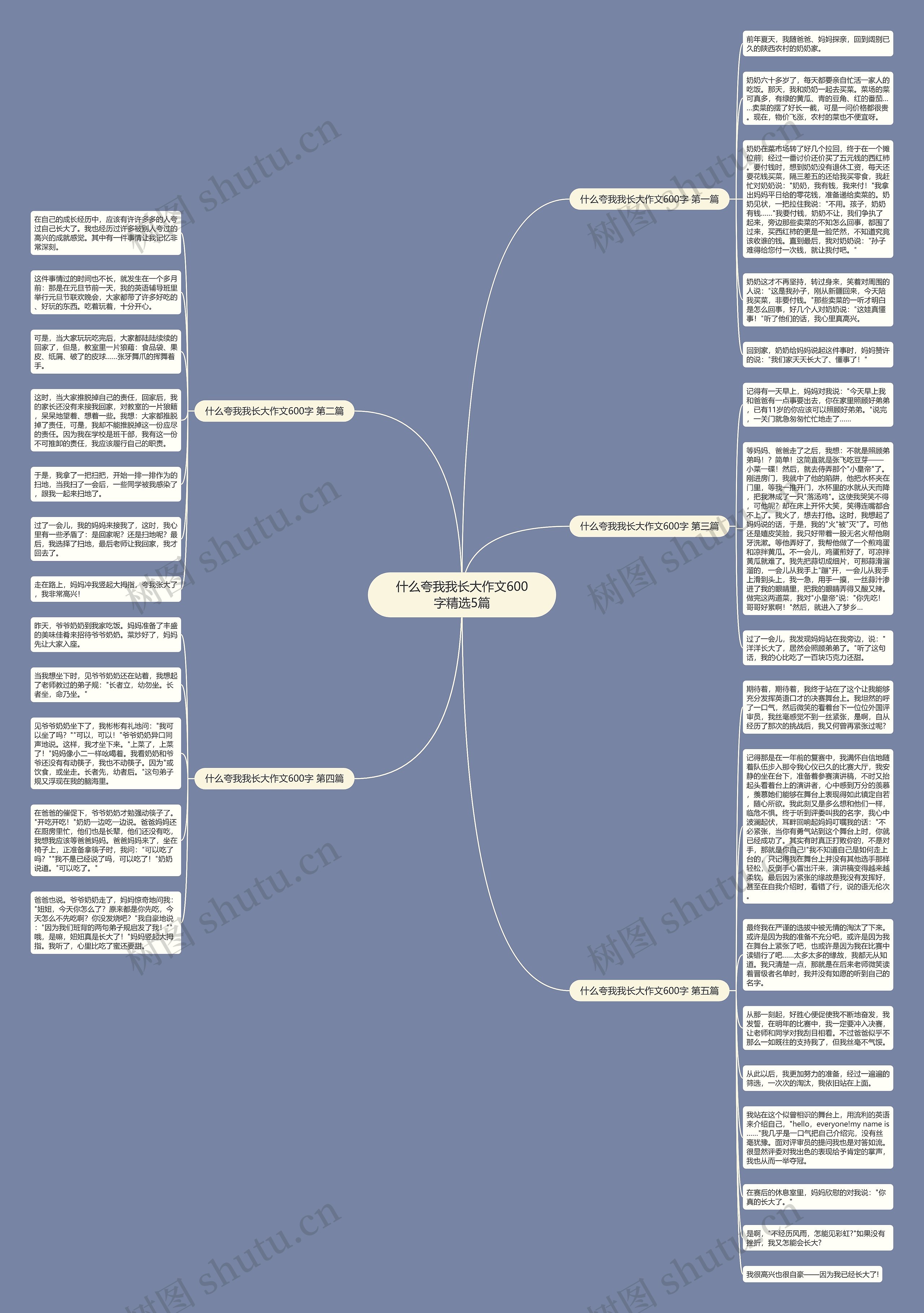 什么夸我我长大作文600字精选5篇思维导图