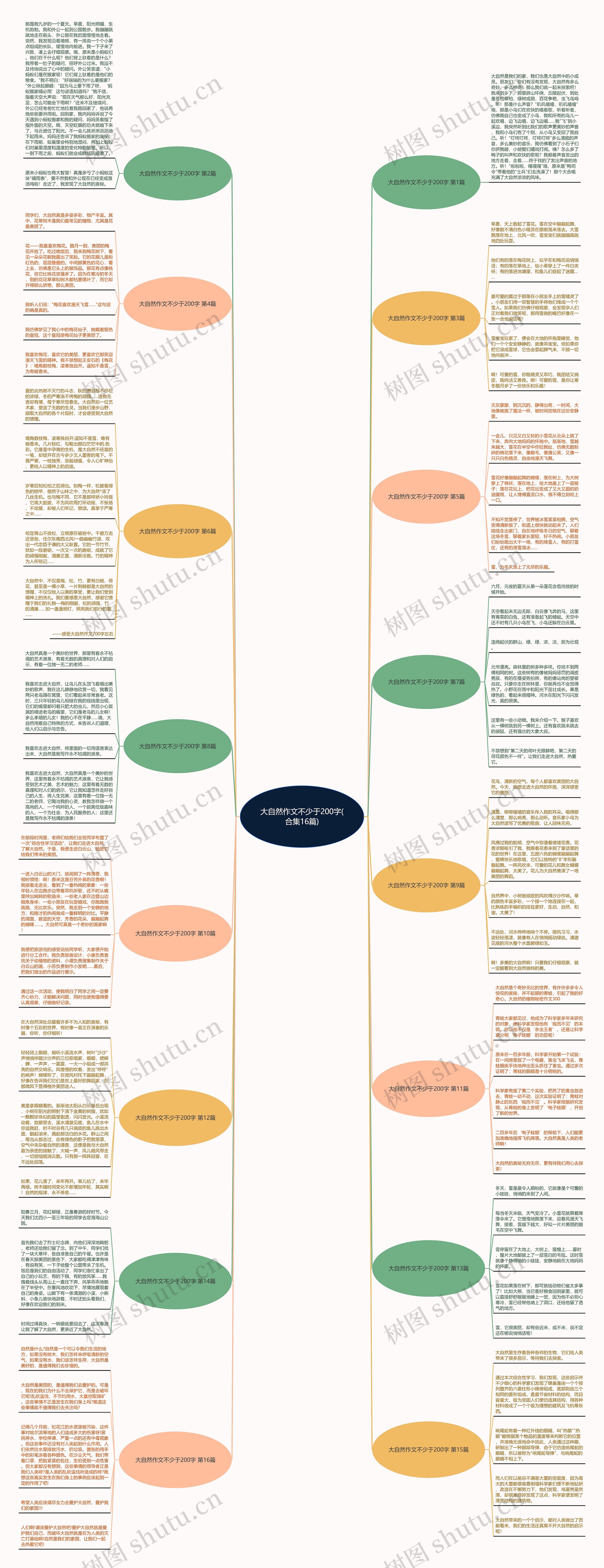 大自然作文不少于200字(合集16篇)思维导图