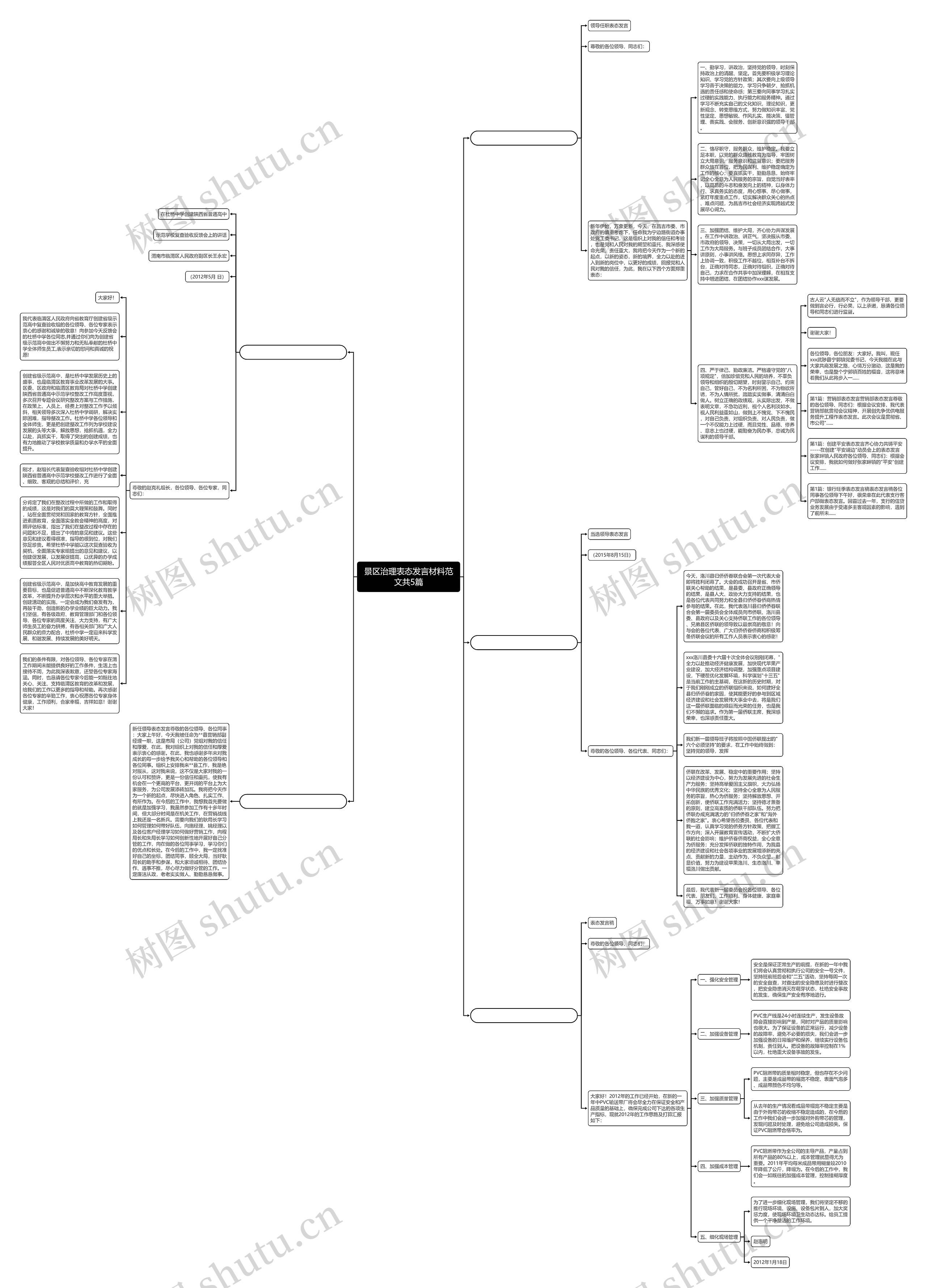 景区治理表态发言材料范文共5篇