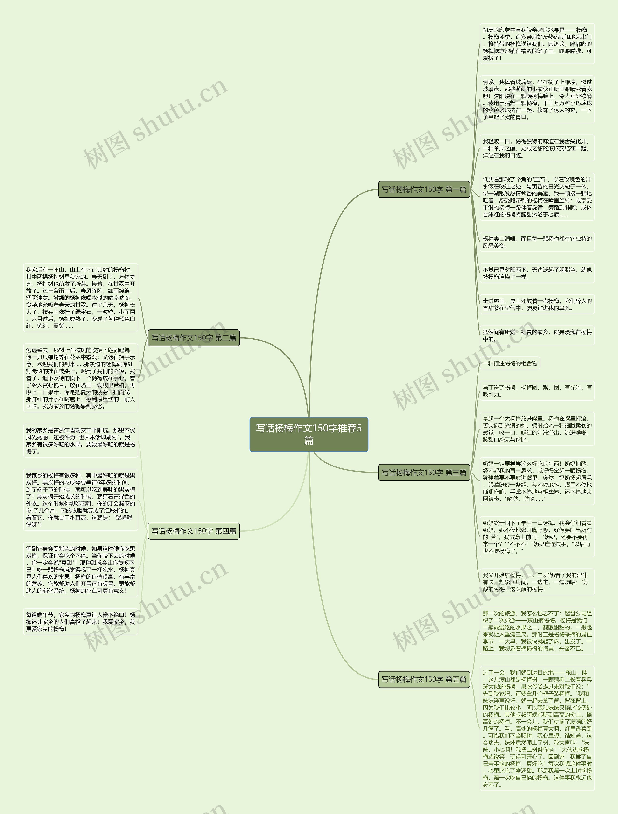 写话杨梅作文150字推荐5篇思维导图