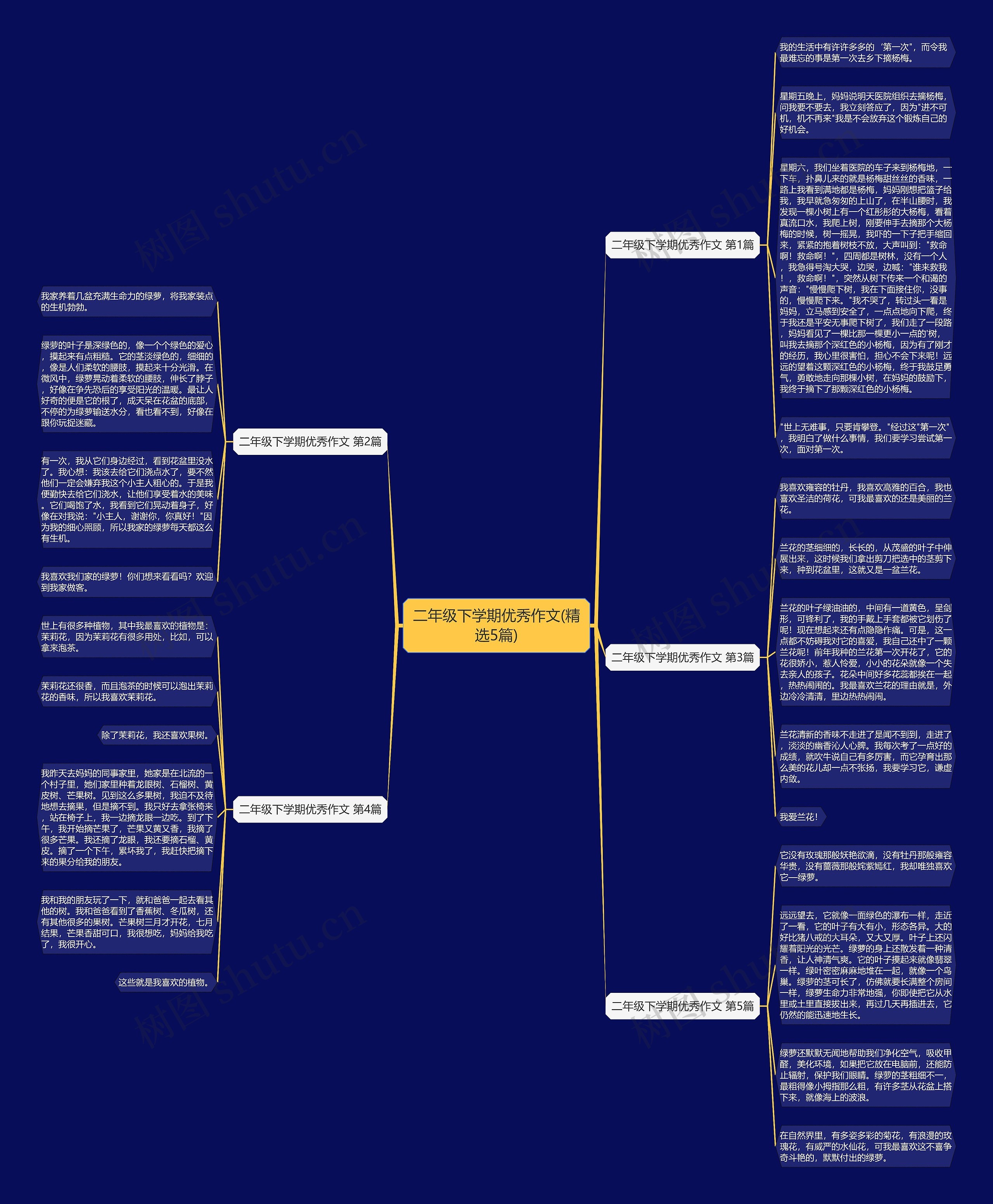 二年级下学期优秀作文(精选5篇)思维导图
