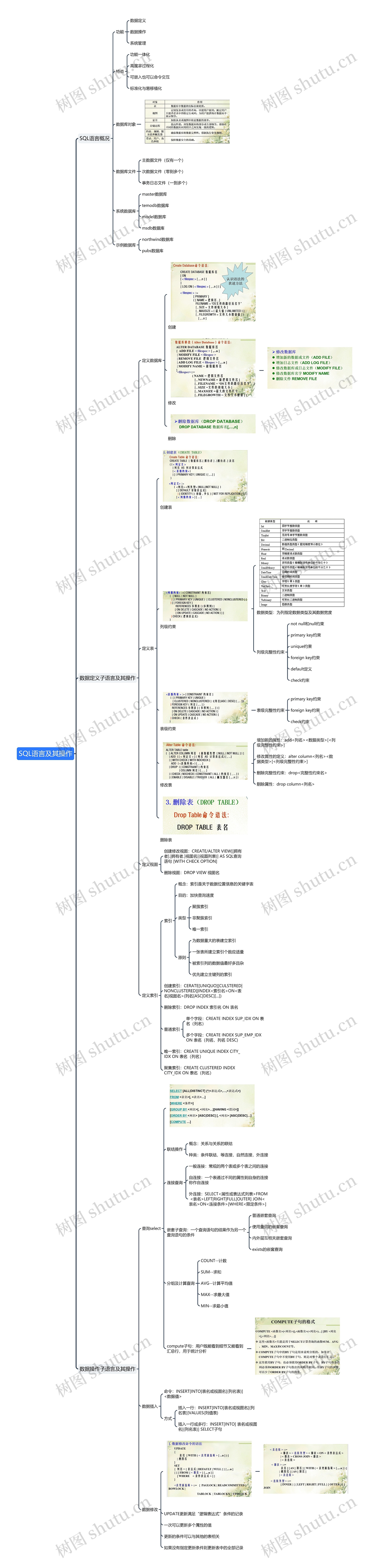 SQL语言及其操作