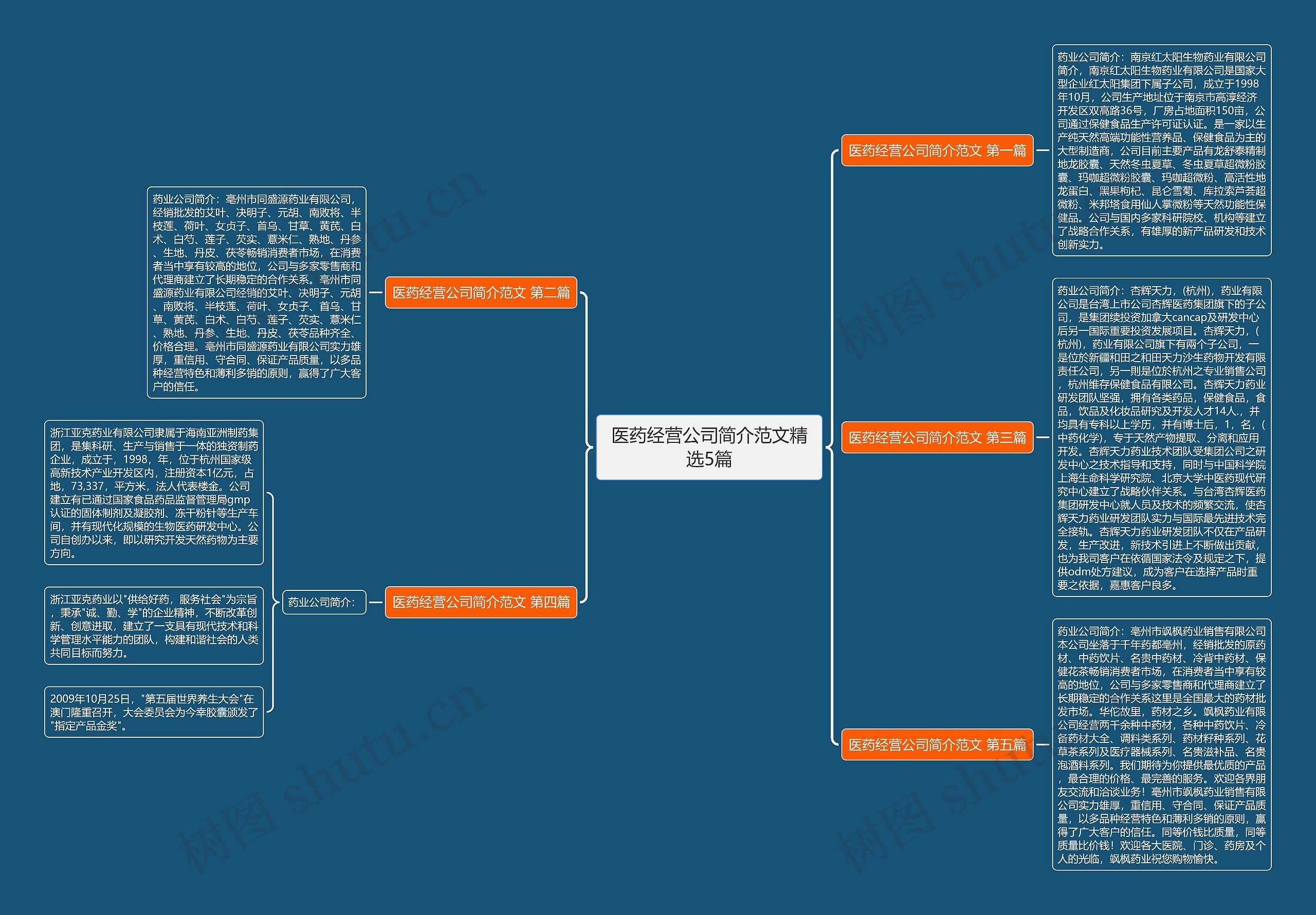 医药经营公司简介范文精选5篇思维导图