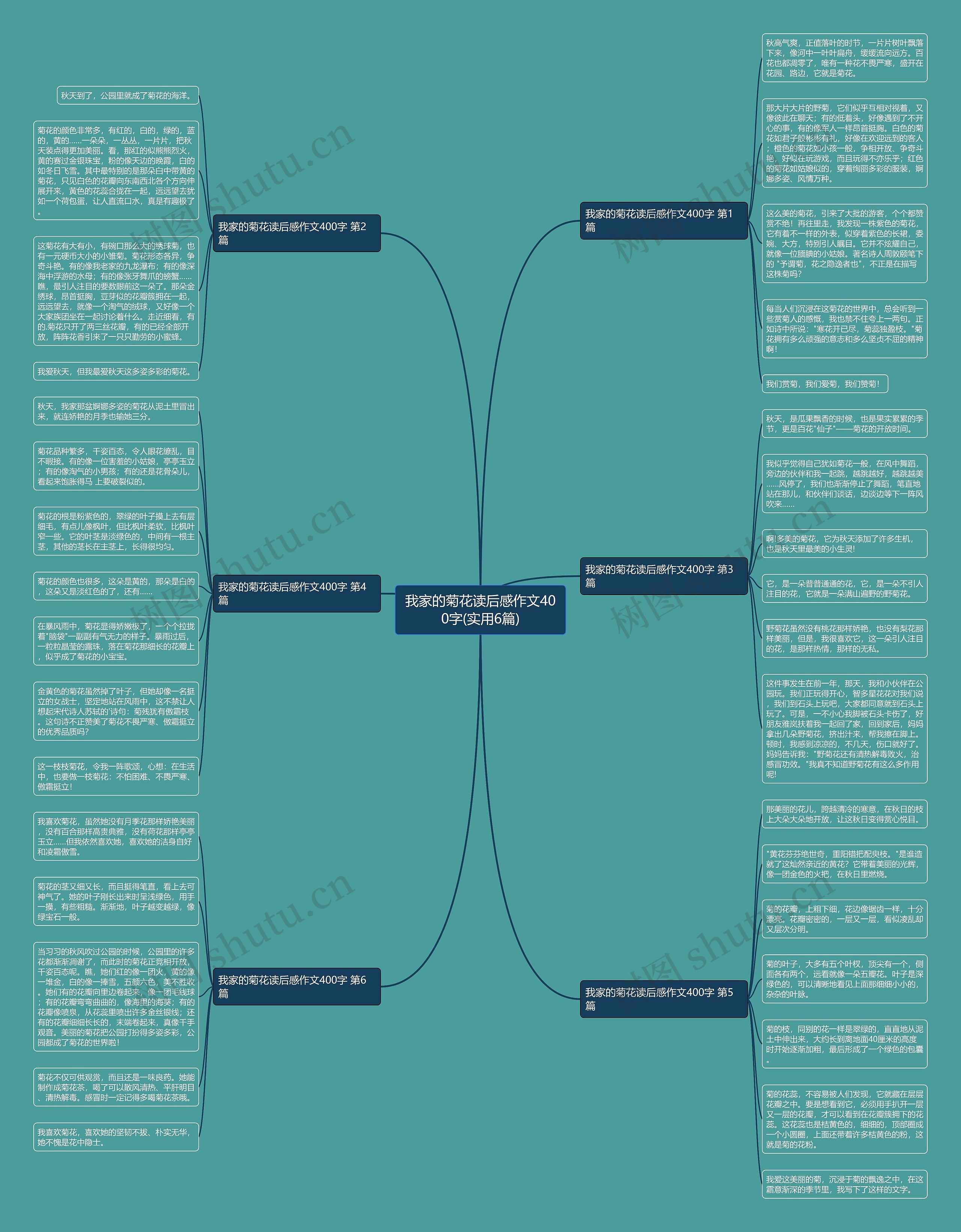 我家的菊花读后感作文400字(实用6篇)思维导图