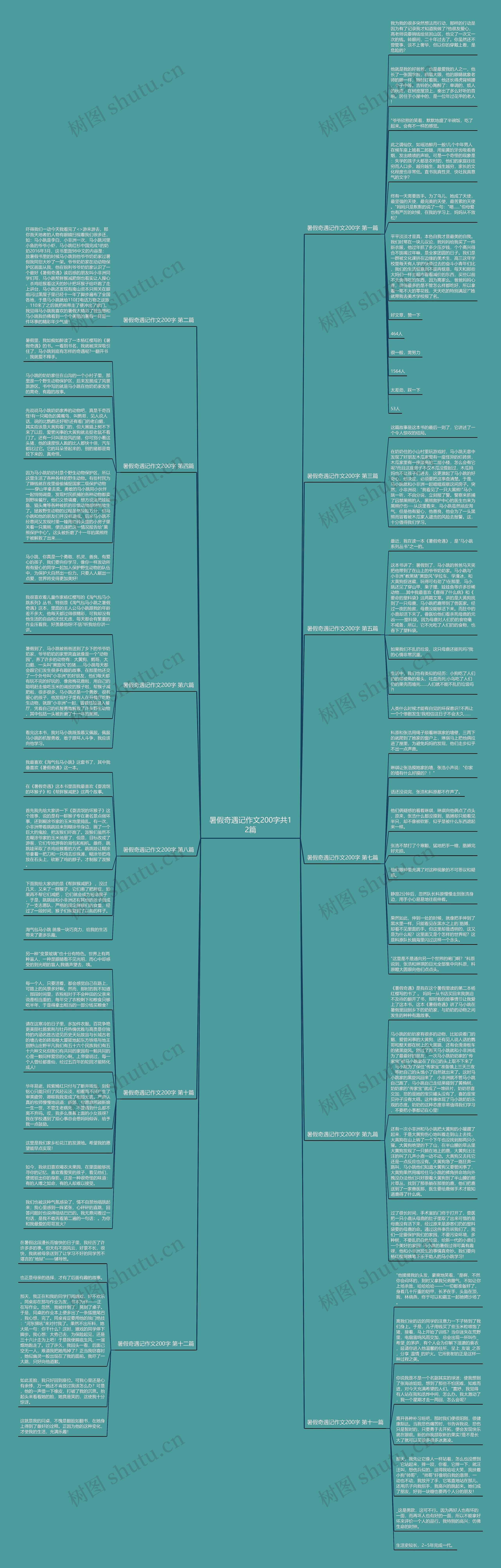暑假奇遇记作文200字共12篇思维导图