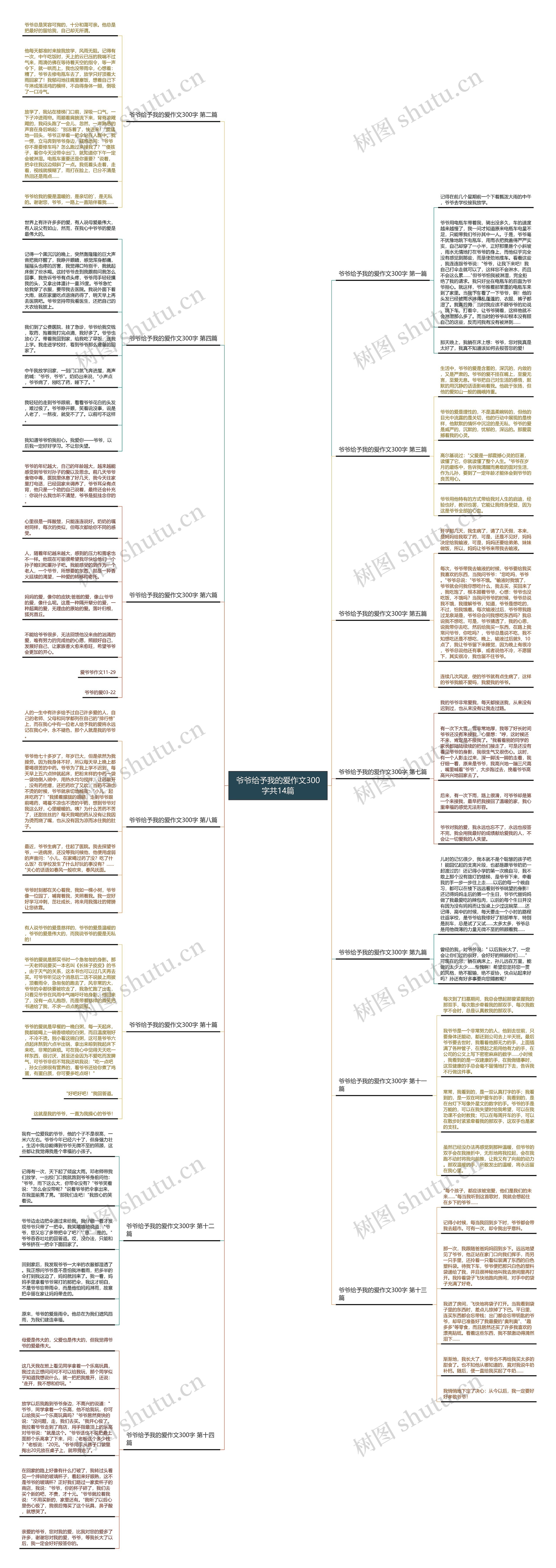 爷爷给予我的爱作文300字共14篇思维导图