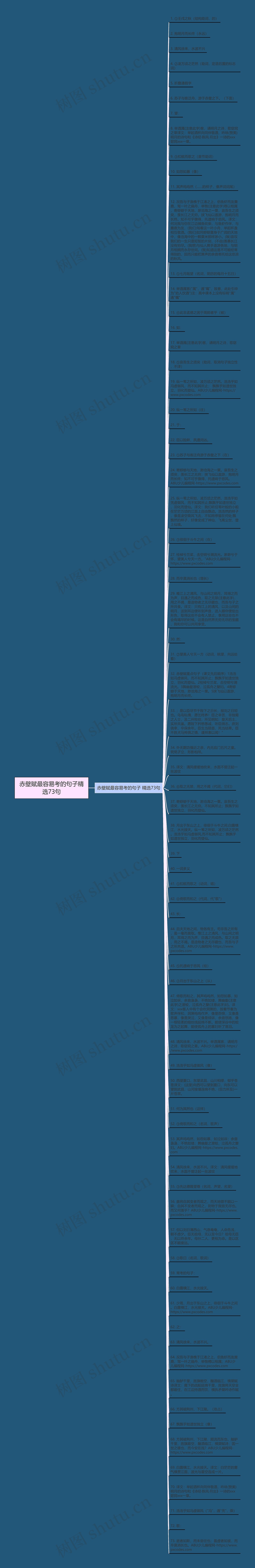 赤壁赋最容易考的句子精选73句
